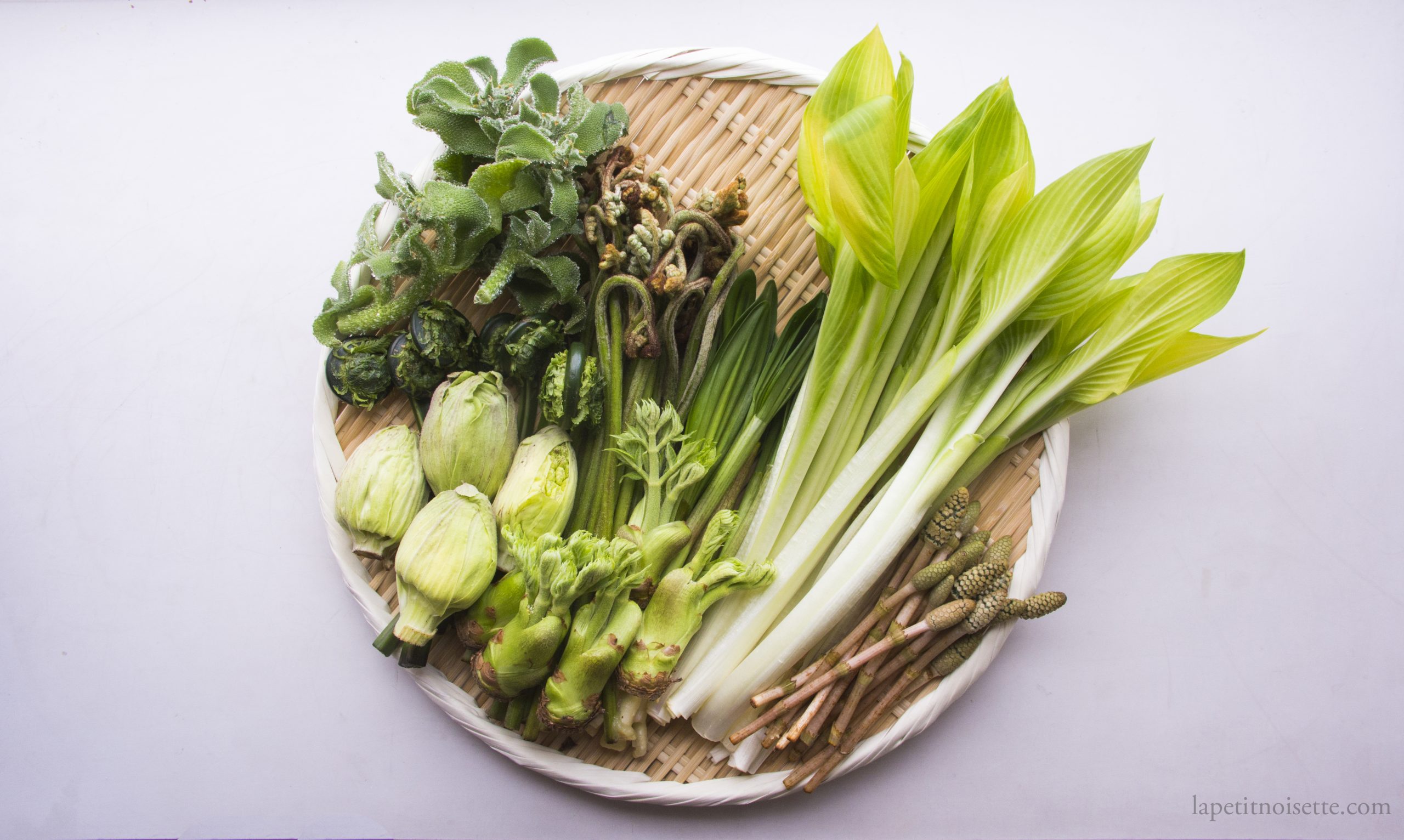 A collection of different Japanese mountain vegetables.