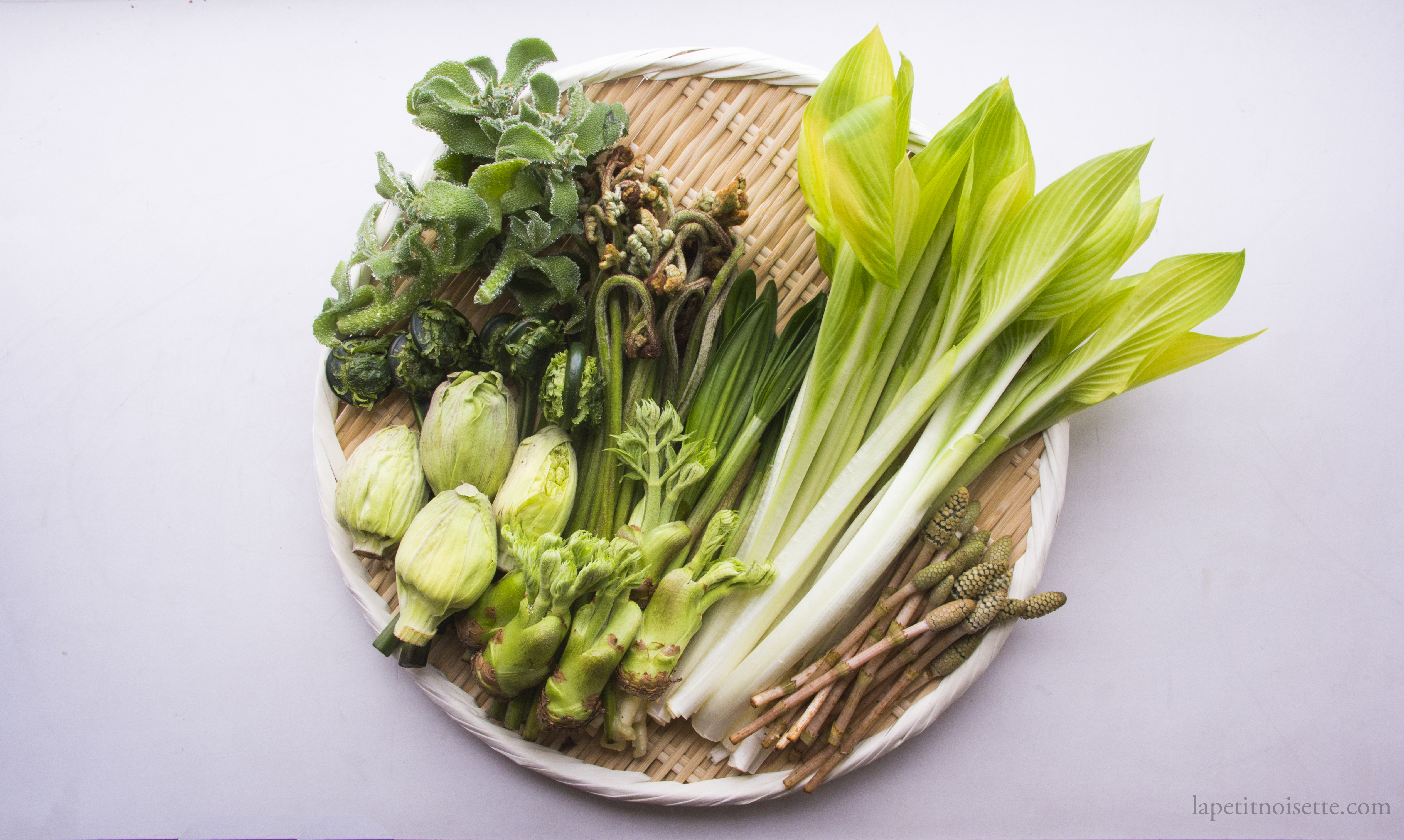 A variety of wild Japanese mountain vegetables known as Sansai.
