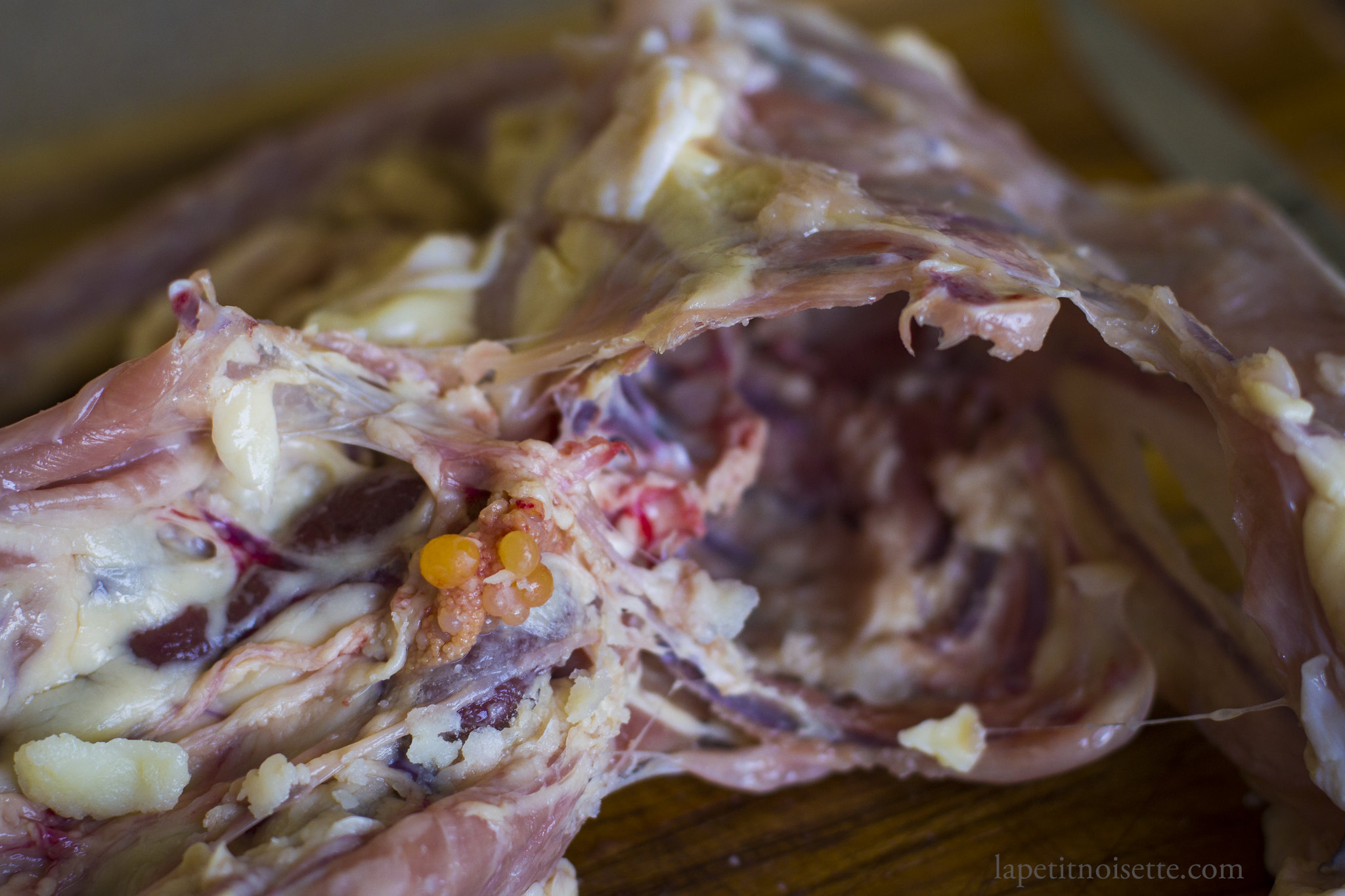 The formation of egg yolks inside a chicken carcass.