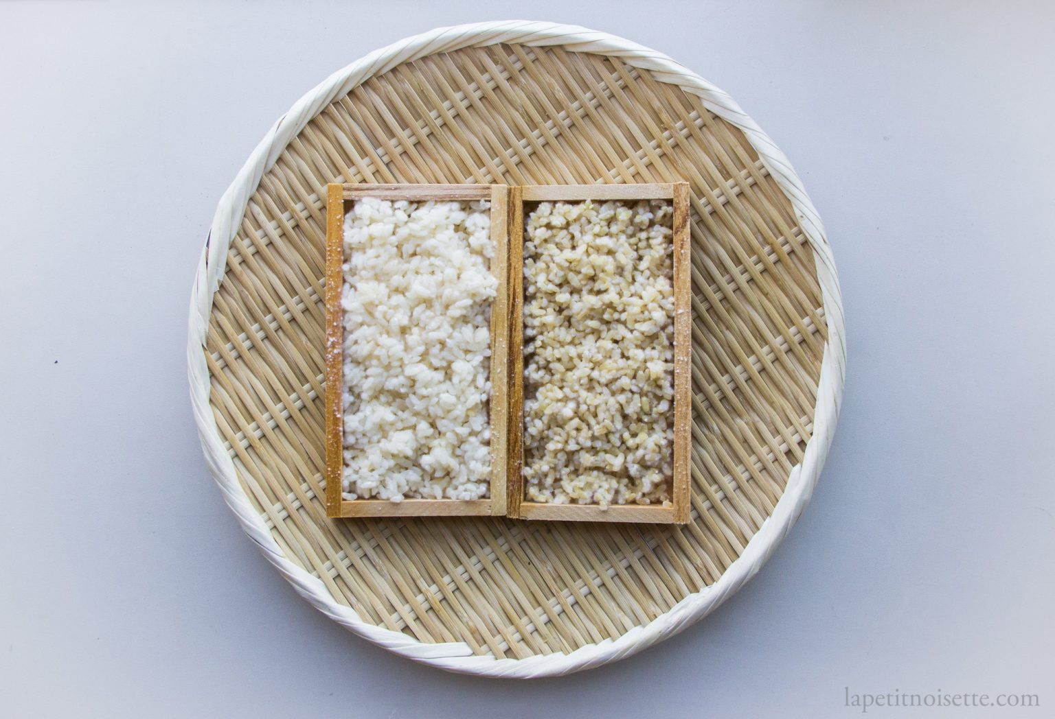 How to Grow Koji 麹 – The Japanese Food Lab