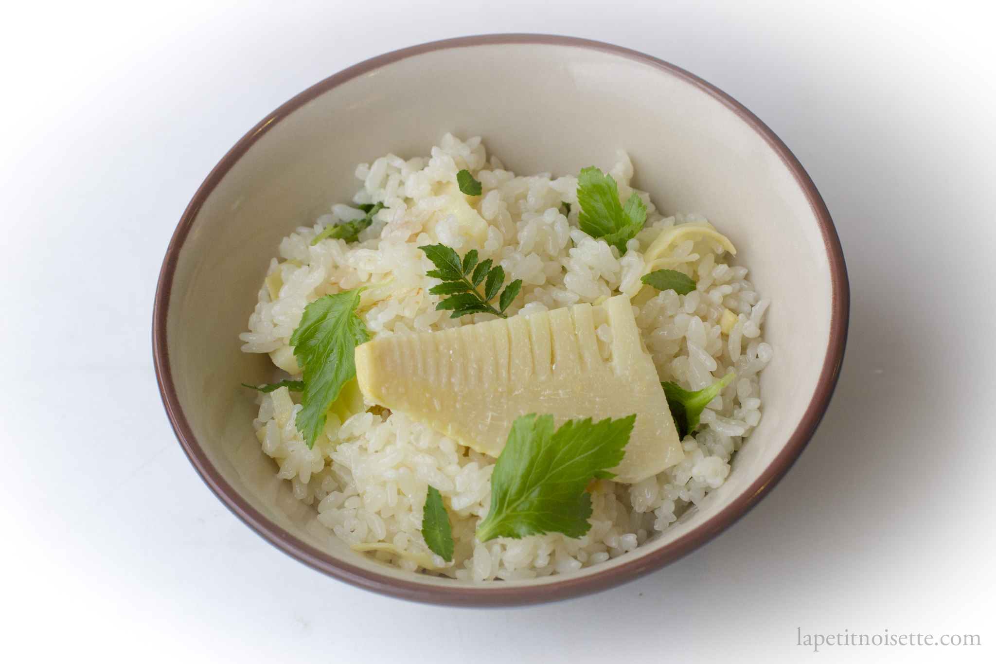 Japanese bamboo shoot rice.