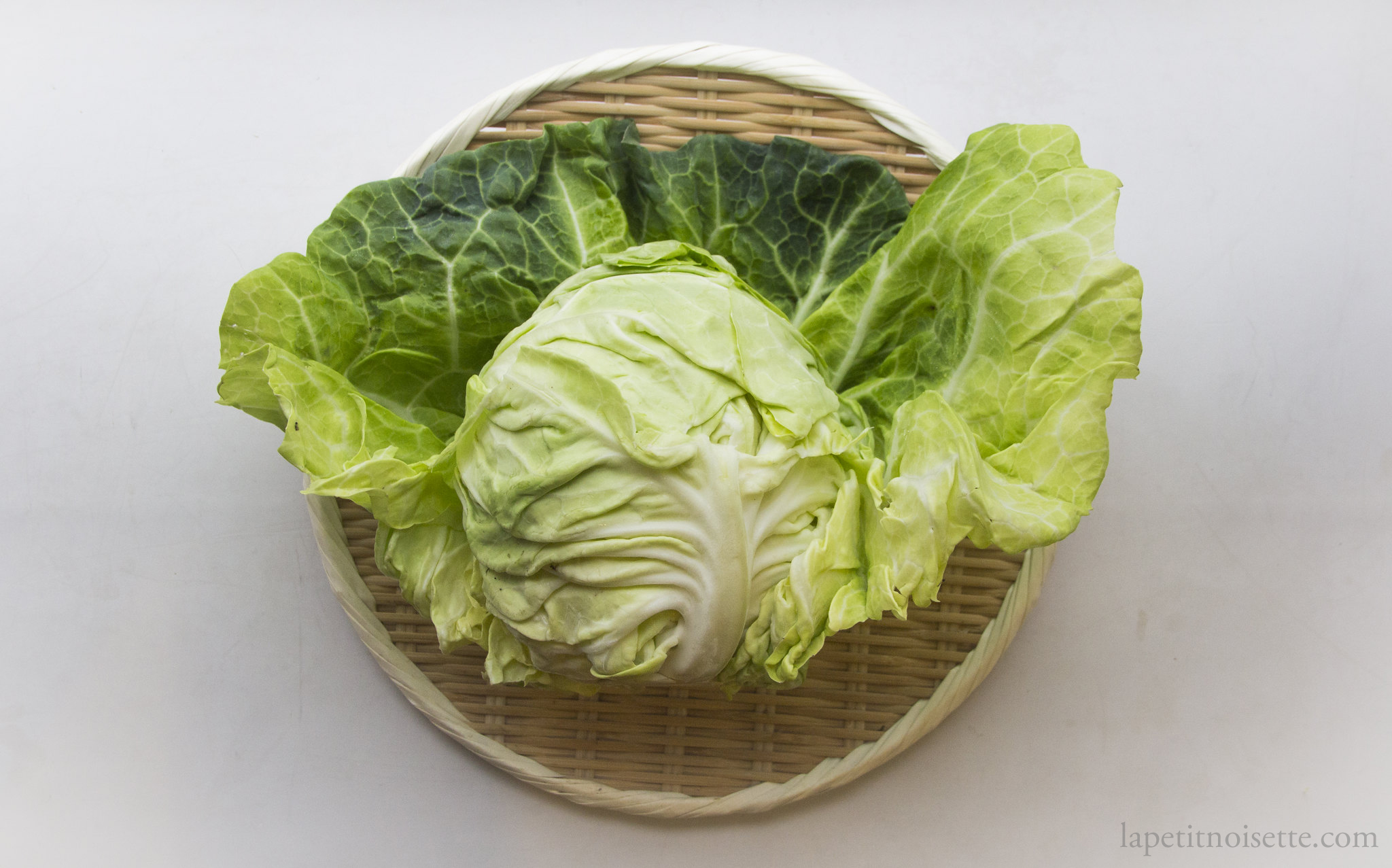 Cabbage for motsunabe.
