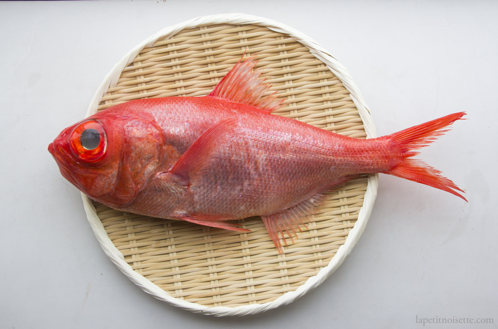 11 Aged Kinmedai Golden eye snapper / Cut to fillet Japanese fish / Sushi  Japanese food 