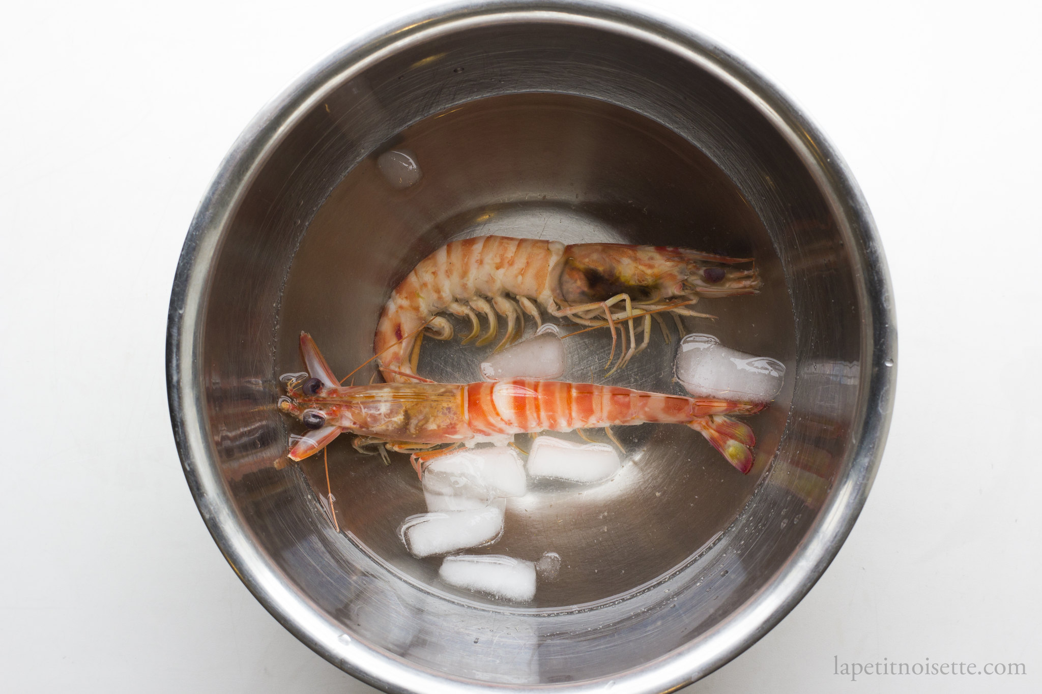 Shrimp cooling in a ice bath for sushi preperation.