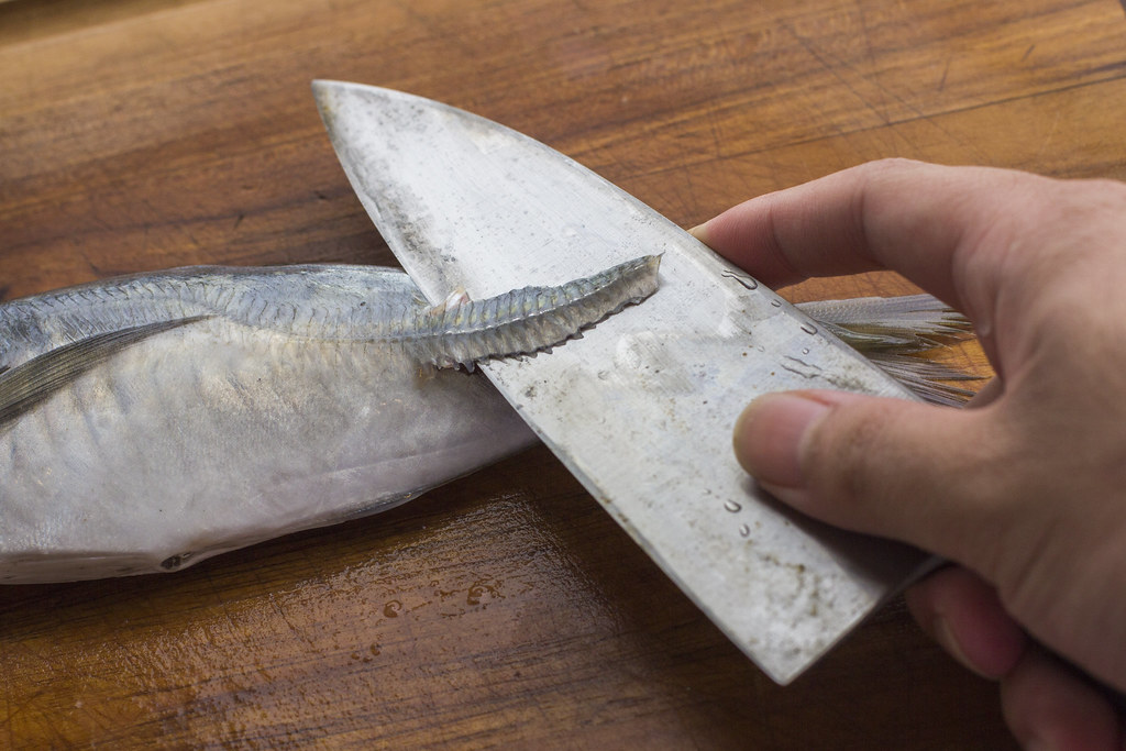 Removing the hard scaly spine on a Japanese horse Mackerel.