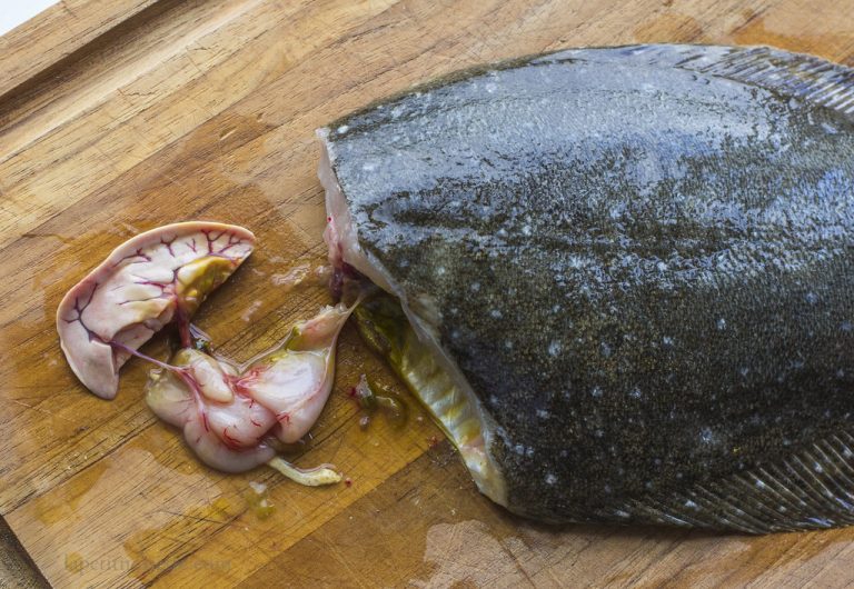 Olive Flounder (Hirame/平目/ヒラメ) Edomae Sushi Recipe – The Japanese Food Lab