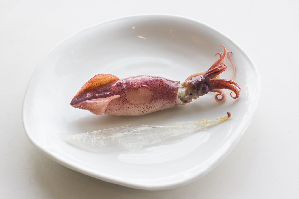 The gladius removed from a firefly squid as part of sushi preparation.
