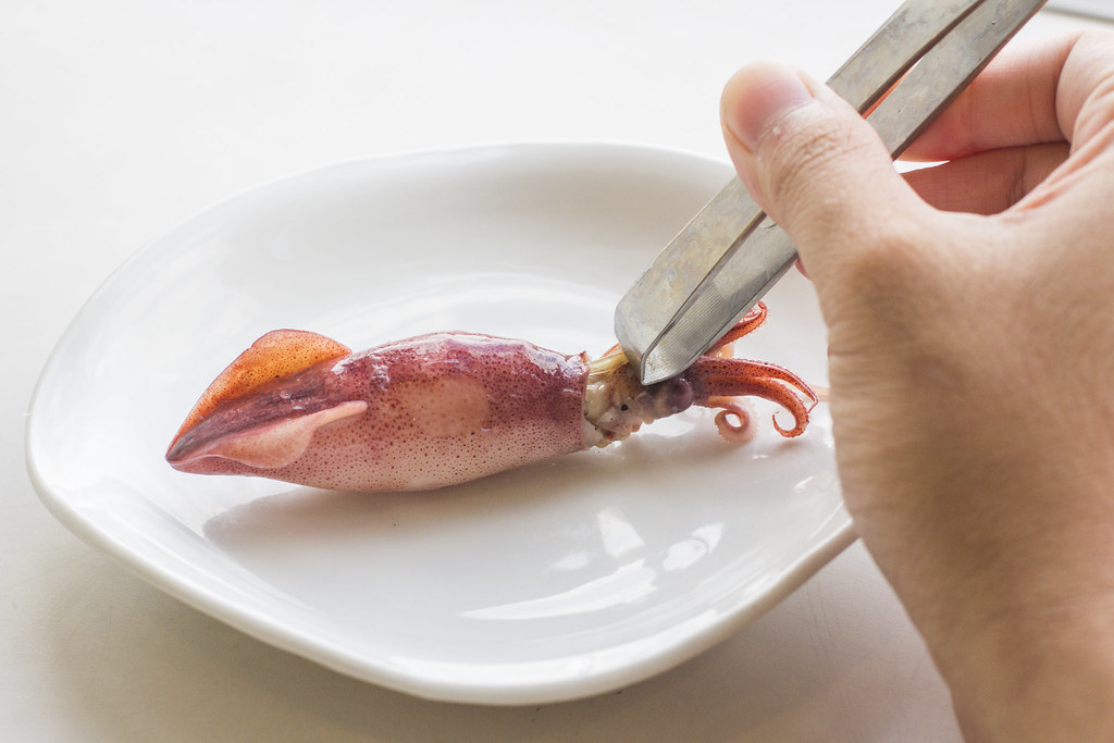 Removing the gladius of a firefly squid for sushi.
