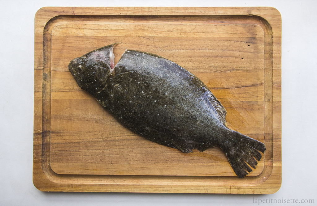 Japanese olive flounder that has been scaled and gutted for sushi.