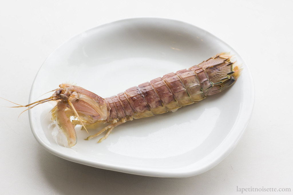 High quality mantis shrimp for making sushi.