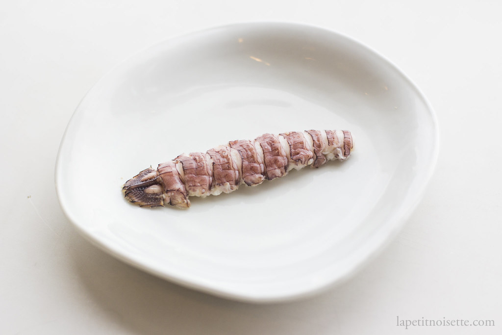 Peeled and cooled mantis shrimp ready to make sushi.