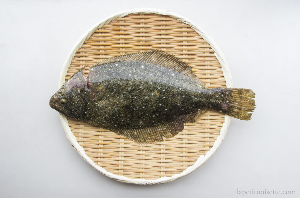 A Japanese Olive Flounder known as Hirame.