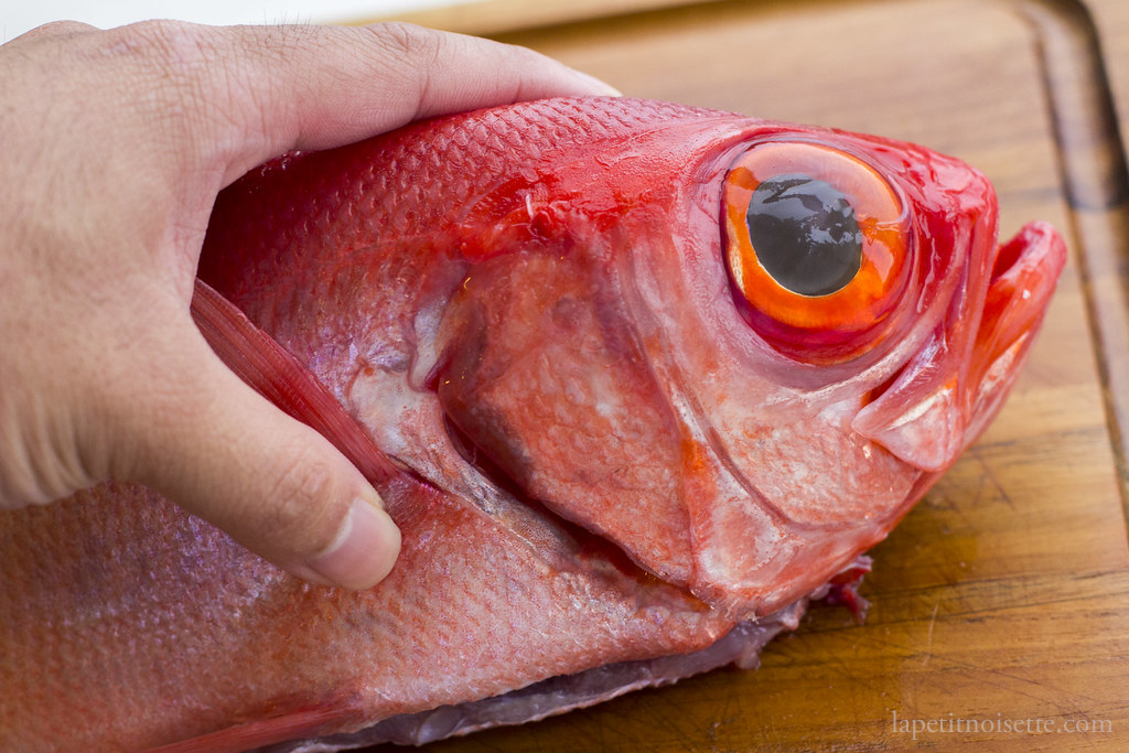 Noka - Kinmedai, also known as golden eye snapper, is delicious in winter,  but it is said that the best time for kinmedai is actually in spring,  before laying their eggs. Some