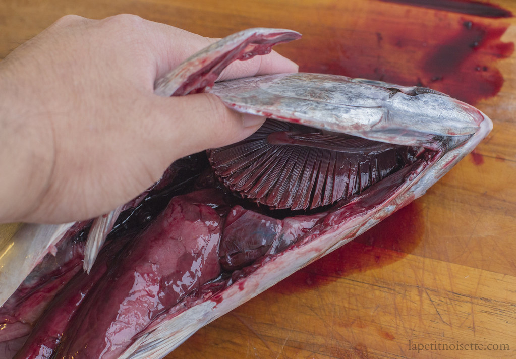 The innards and guts of a Katsuo fish.