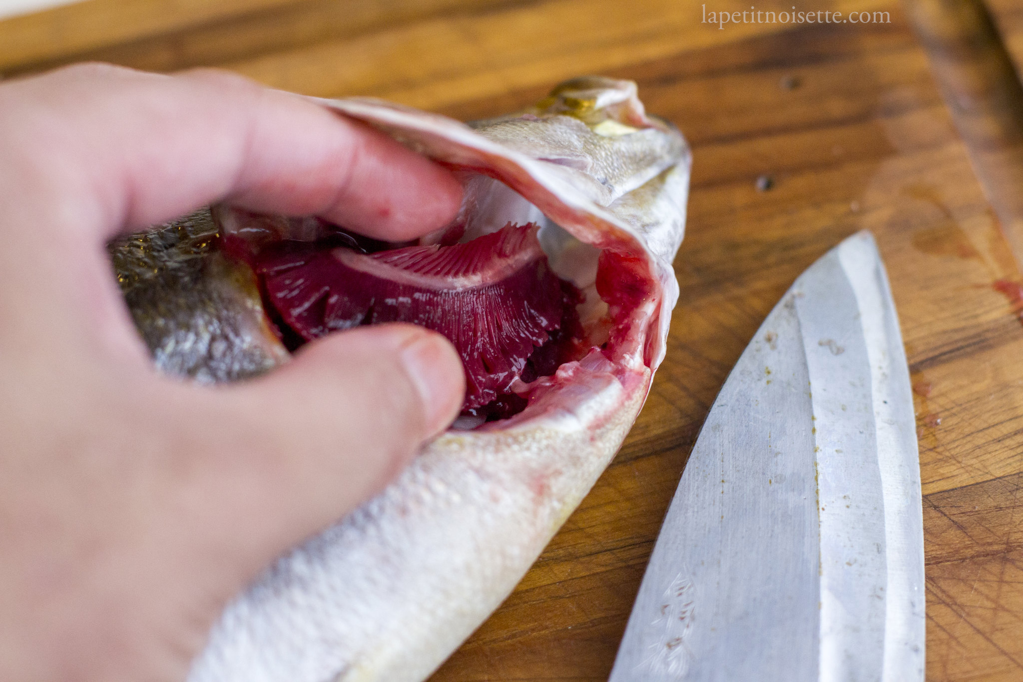 Removing the gills of an isaki fish for sushi preperation.