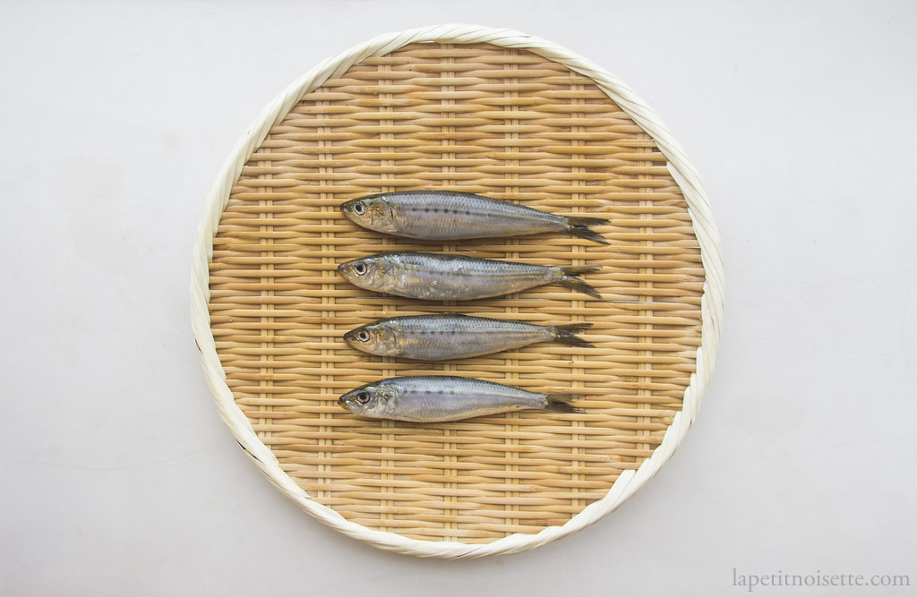 Japanese sardines known as iwashi.