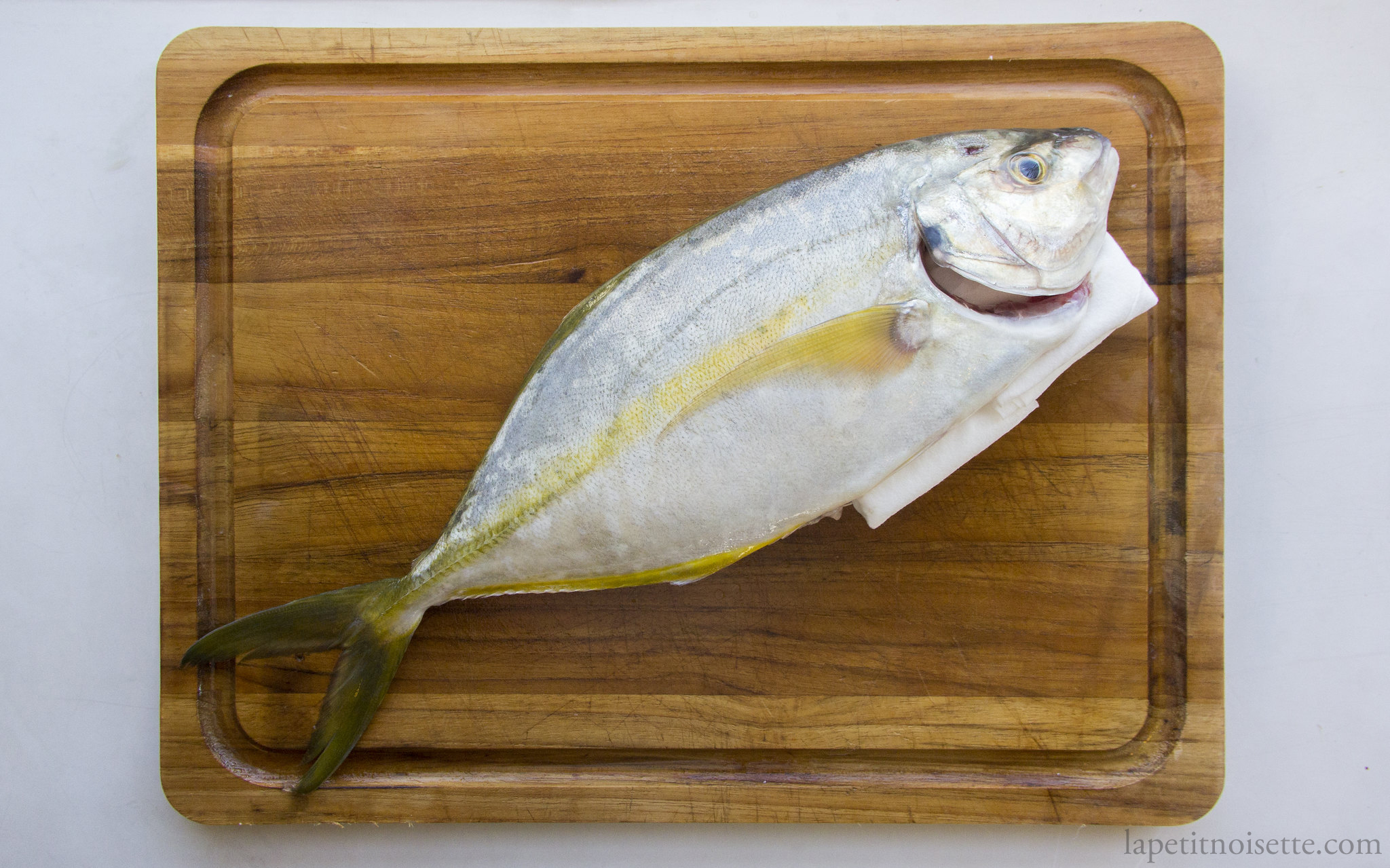 Shima Aji being prepared for ageing.