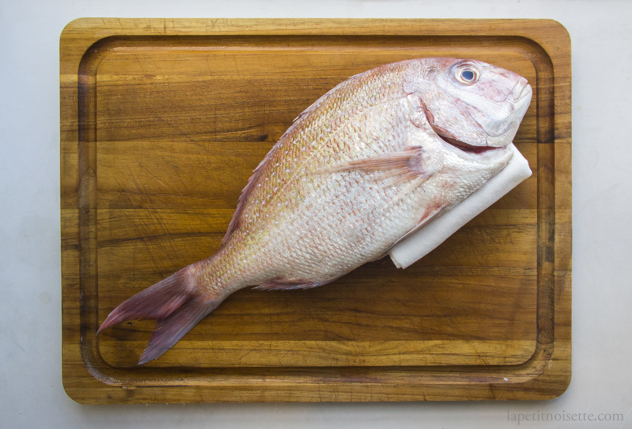 Preparing Japanese Sea Bream to be used in sushi for ageing.