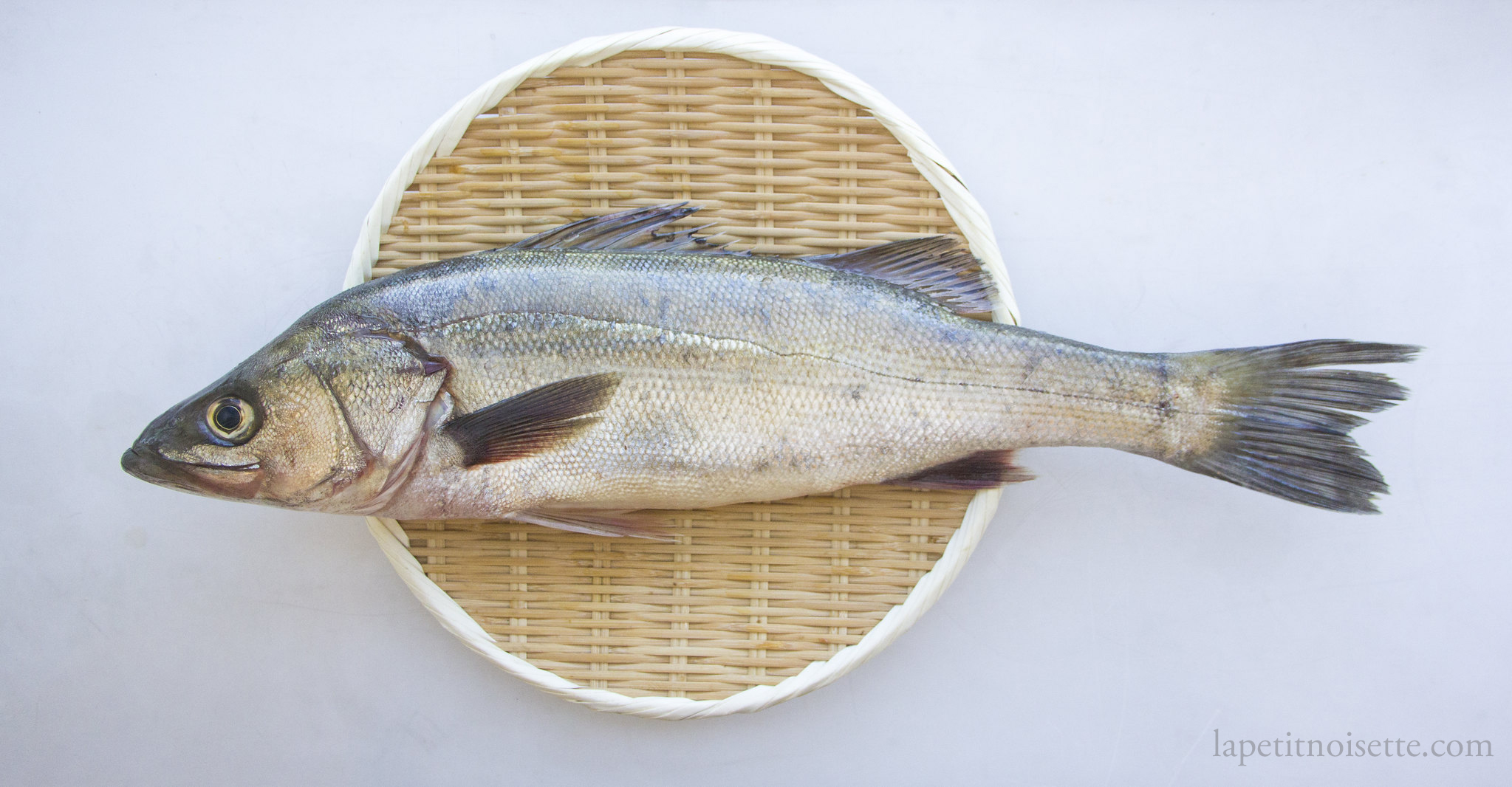 Japanese sea bass called suzuki