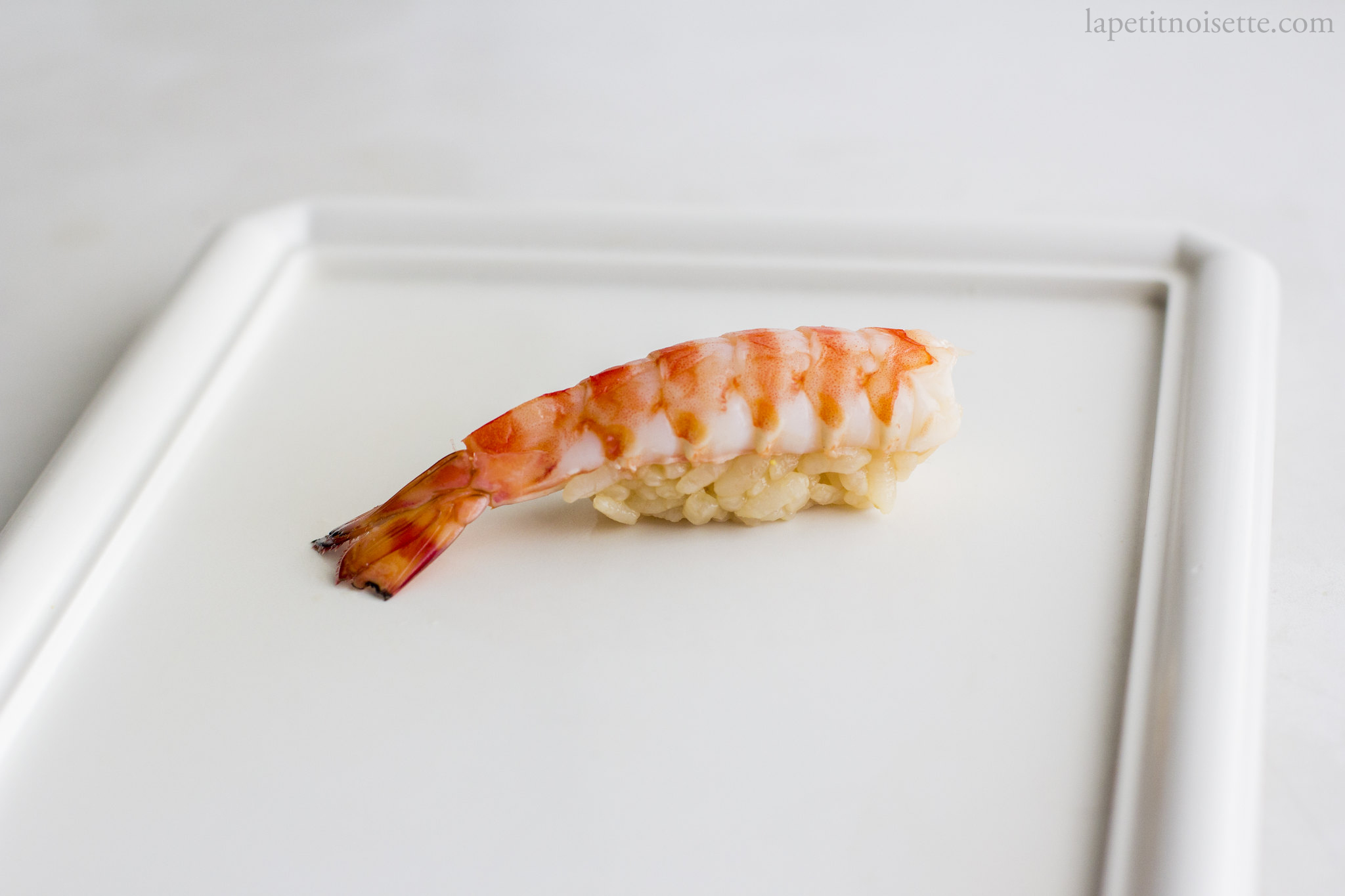 Kuruma Ebi edomae nigiri sushi.