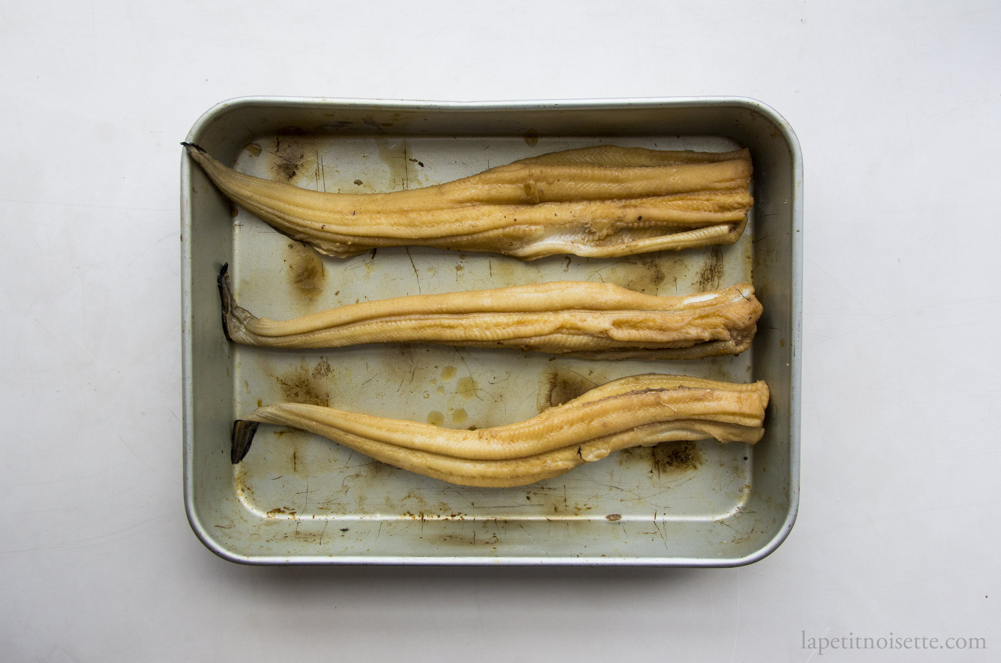 Simmered Japanese anago cooling down in preparation for nigiri sushi.