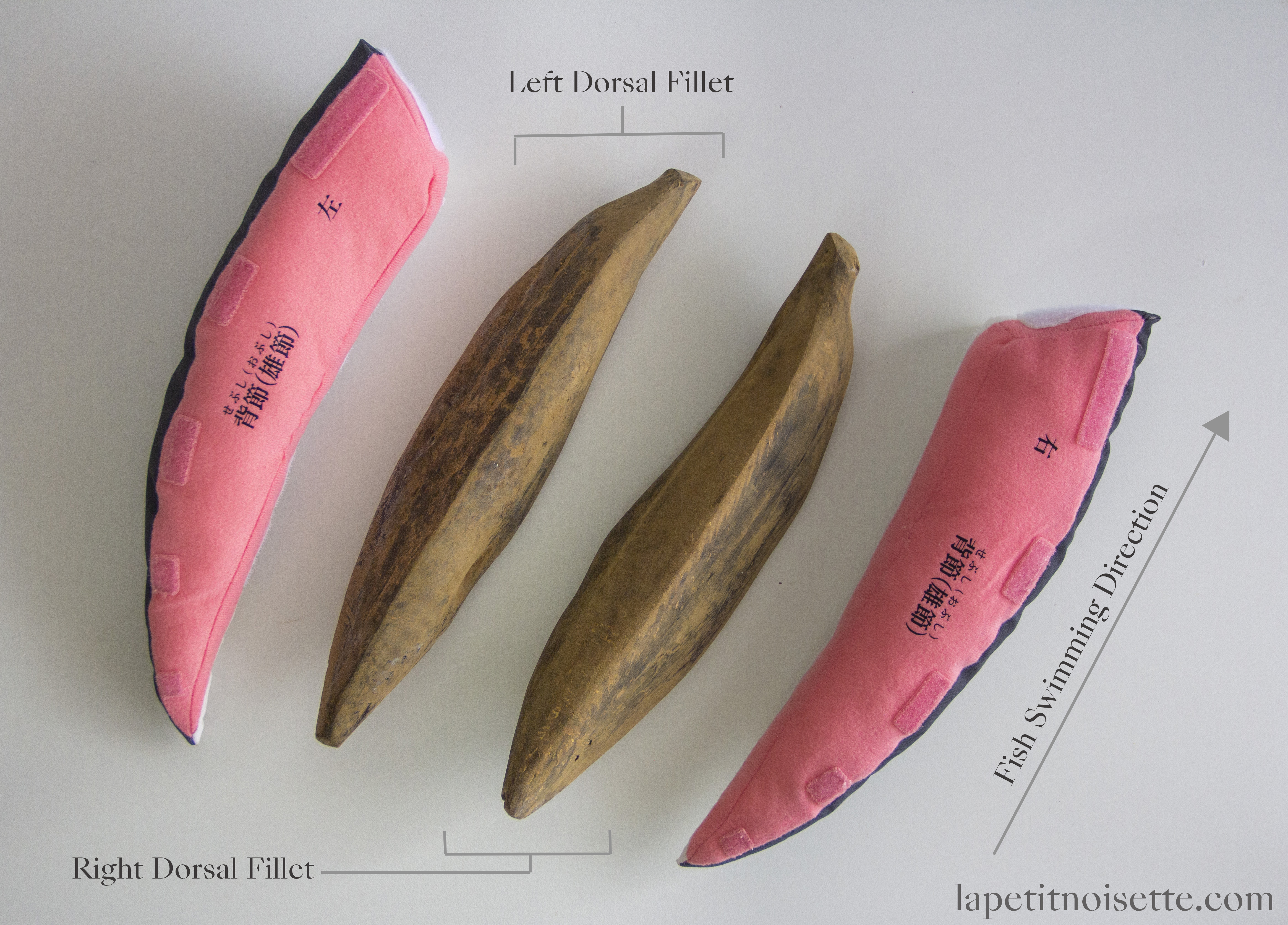 The left and right dorsal fillets of a katsuobushi are known as back fillets (背節 sebushi), or male fillets (雄節/男節 obushi). 