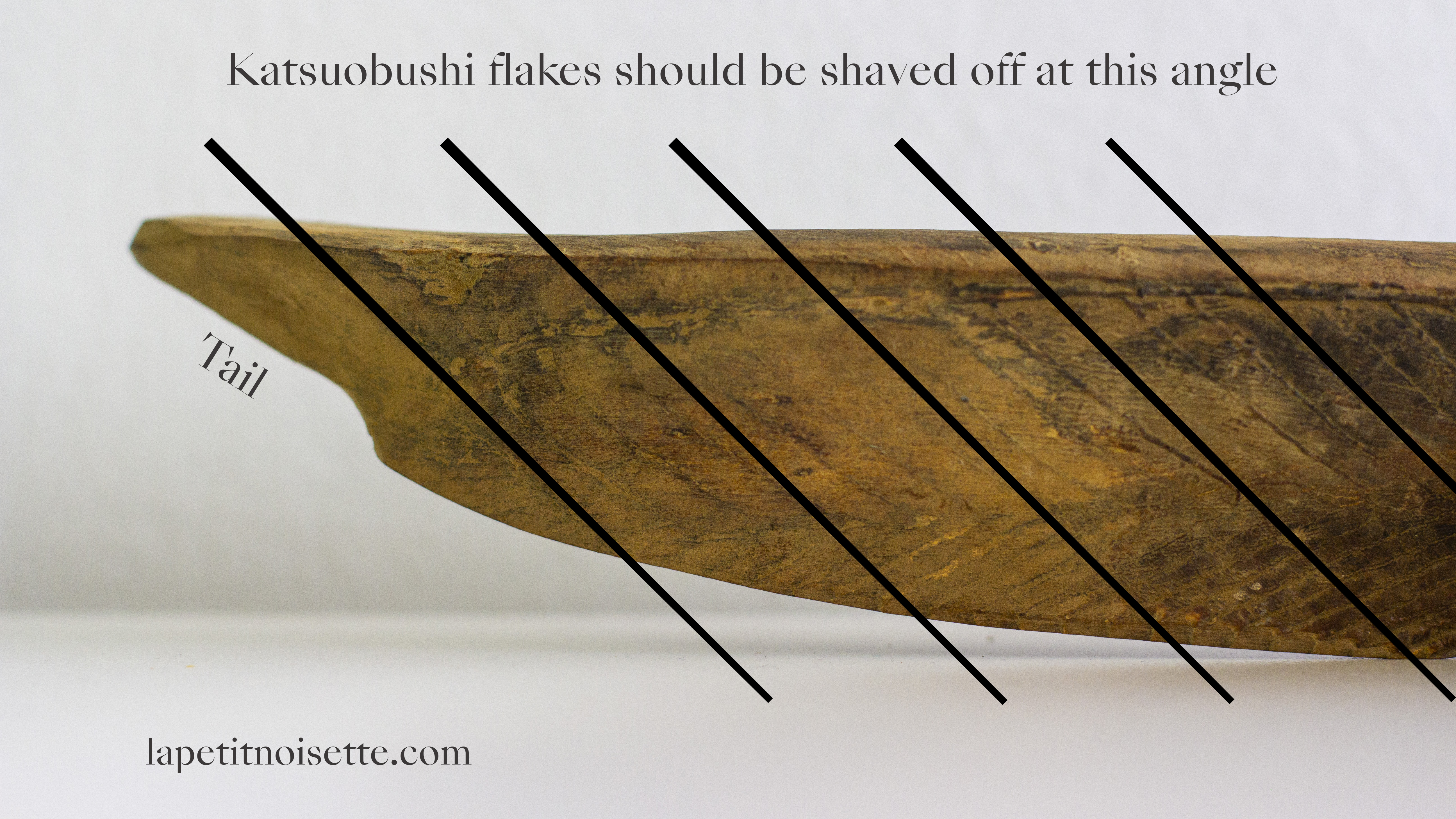 The angle at which the ventral fillets of a katsuobushi should be shaved.