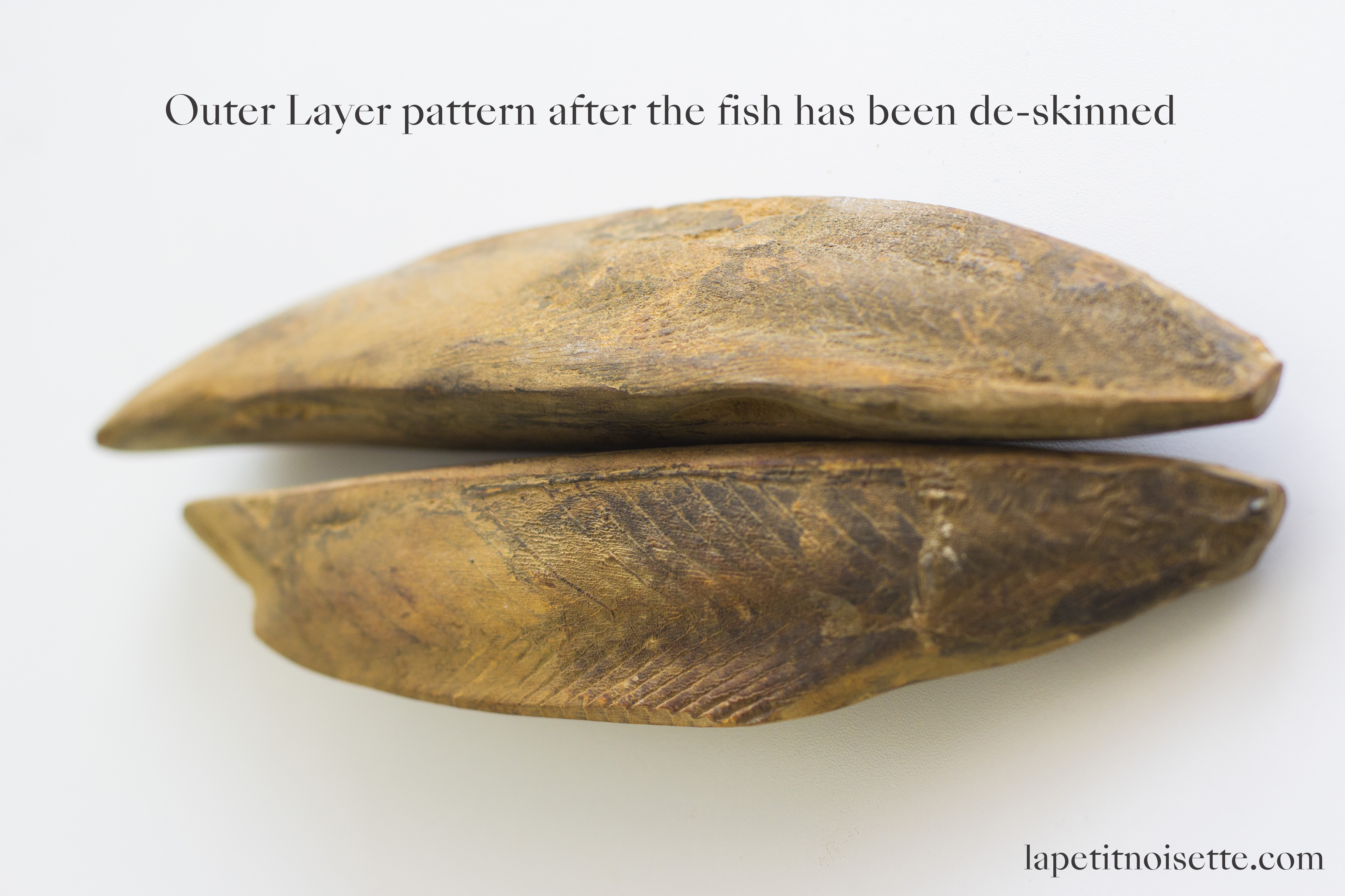 The outer skin of the fish, identifiable by the wavy pattern it leaves, should be facing upwards and be in contact with the palm of your hand when you shave the katsuobushi. 