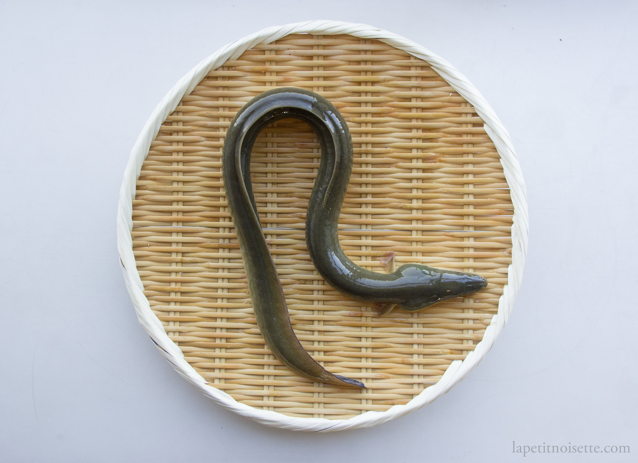 A wild Japanese unagi on a bamboo colander.