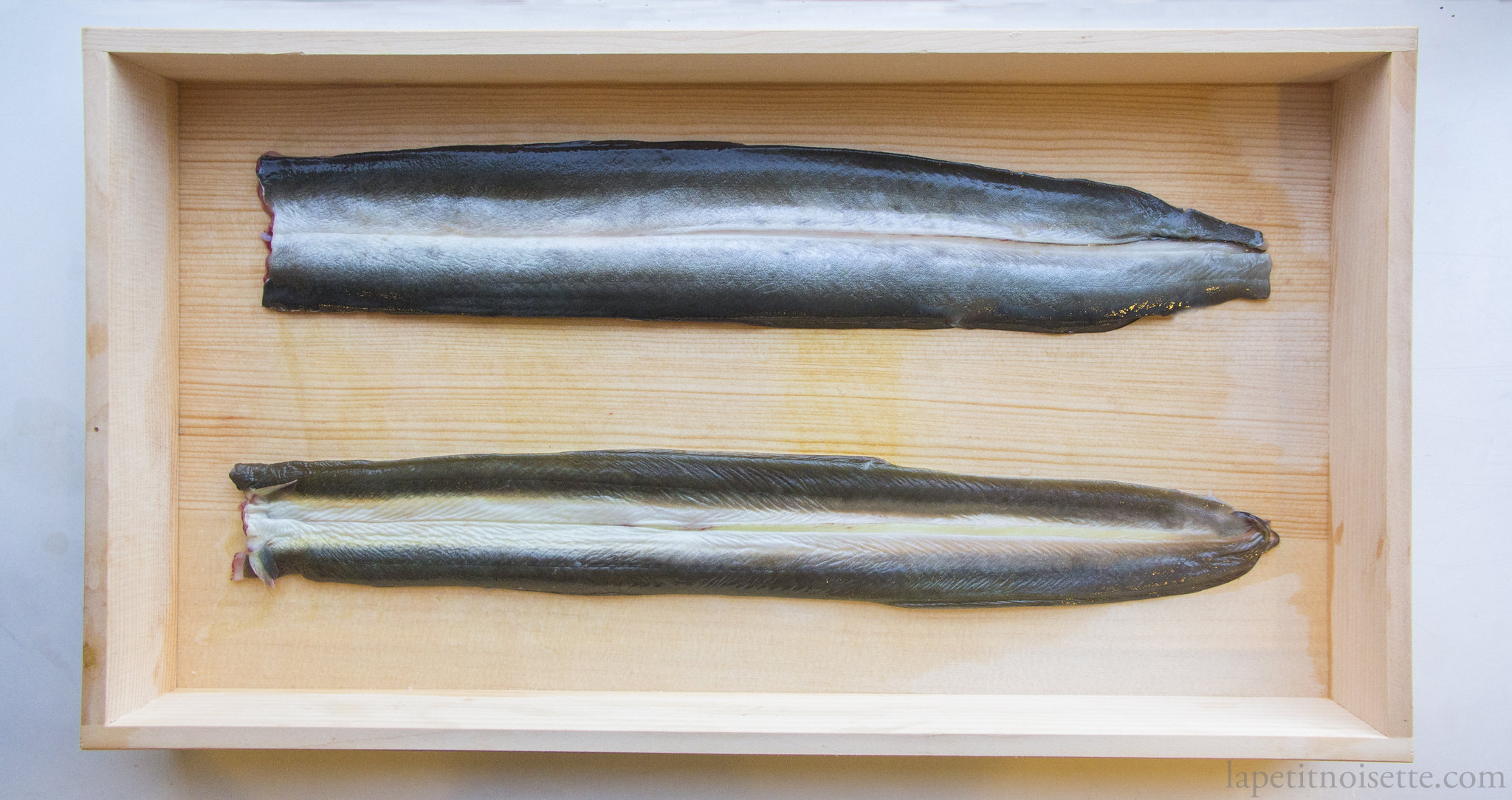 Once filleted, the flesh of the wild eel is much thinner, whilst the farmed eel is much oilier. 