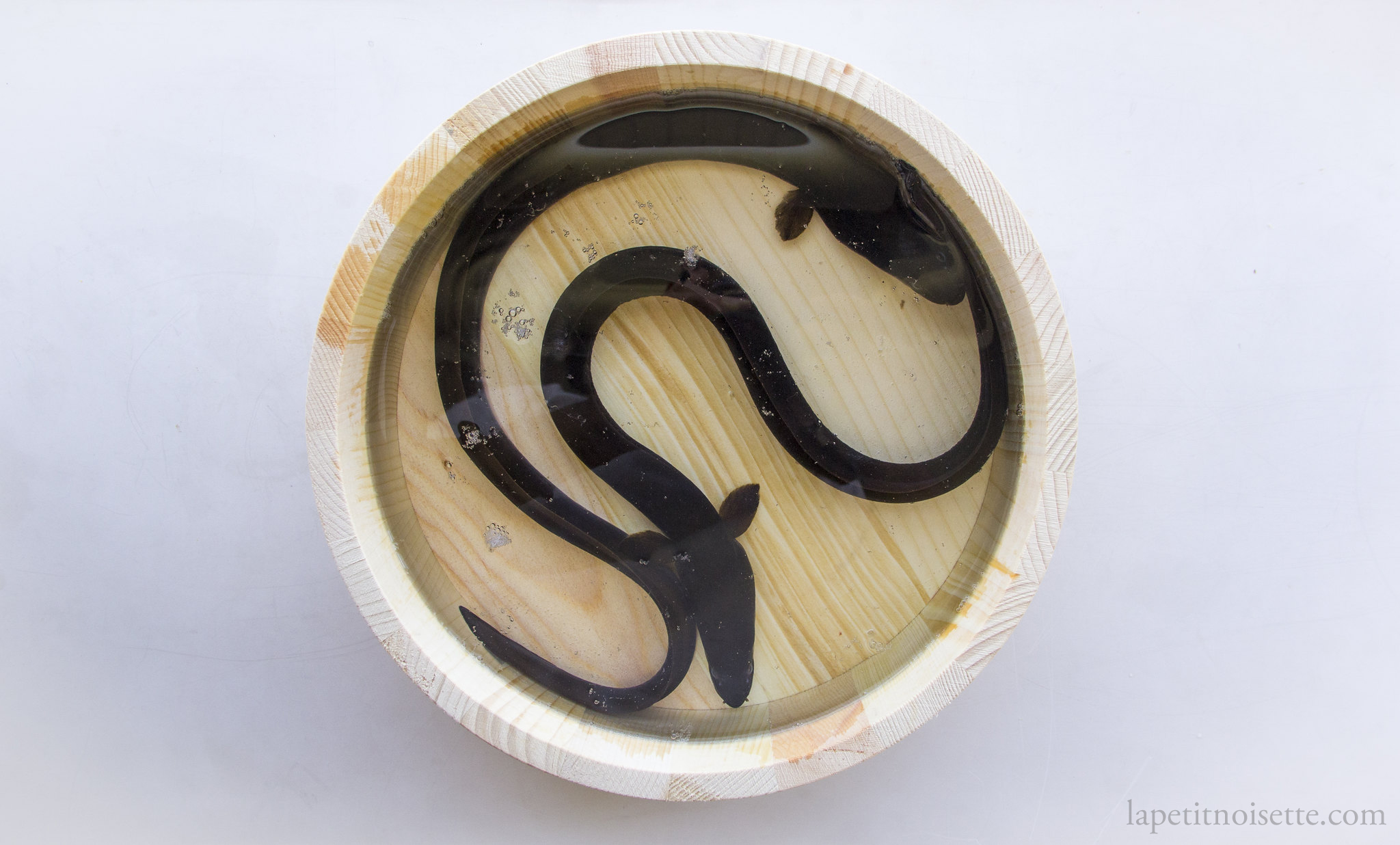 Live eels in a bowl waiting to be filleted.