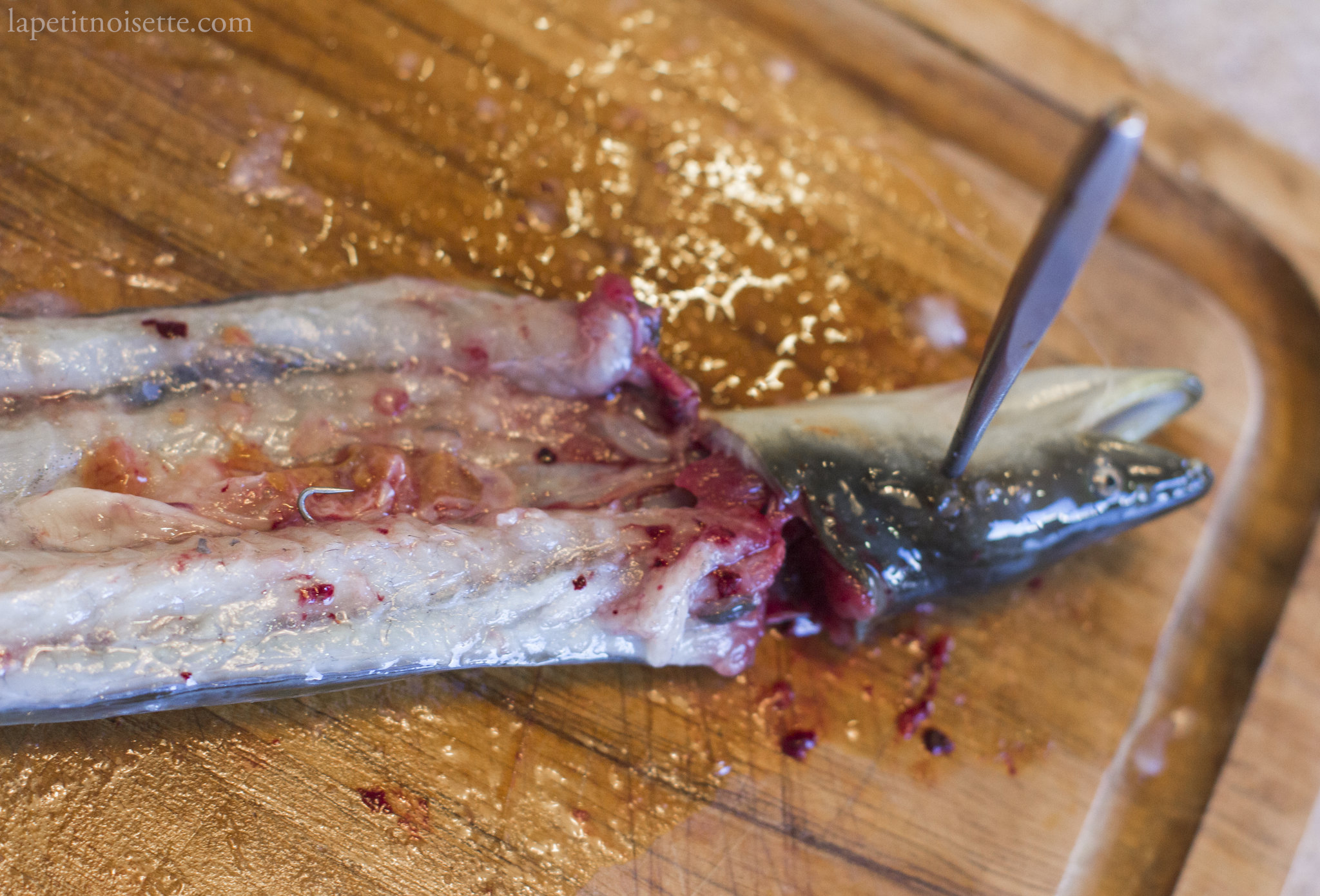 A fish hook found inside a wild eel's belly showing it was caught using a hook and line.