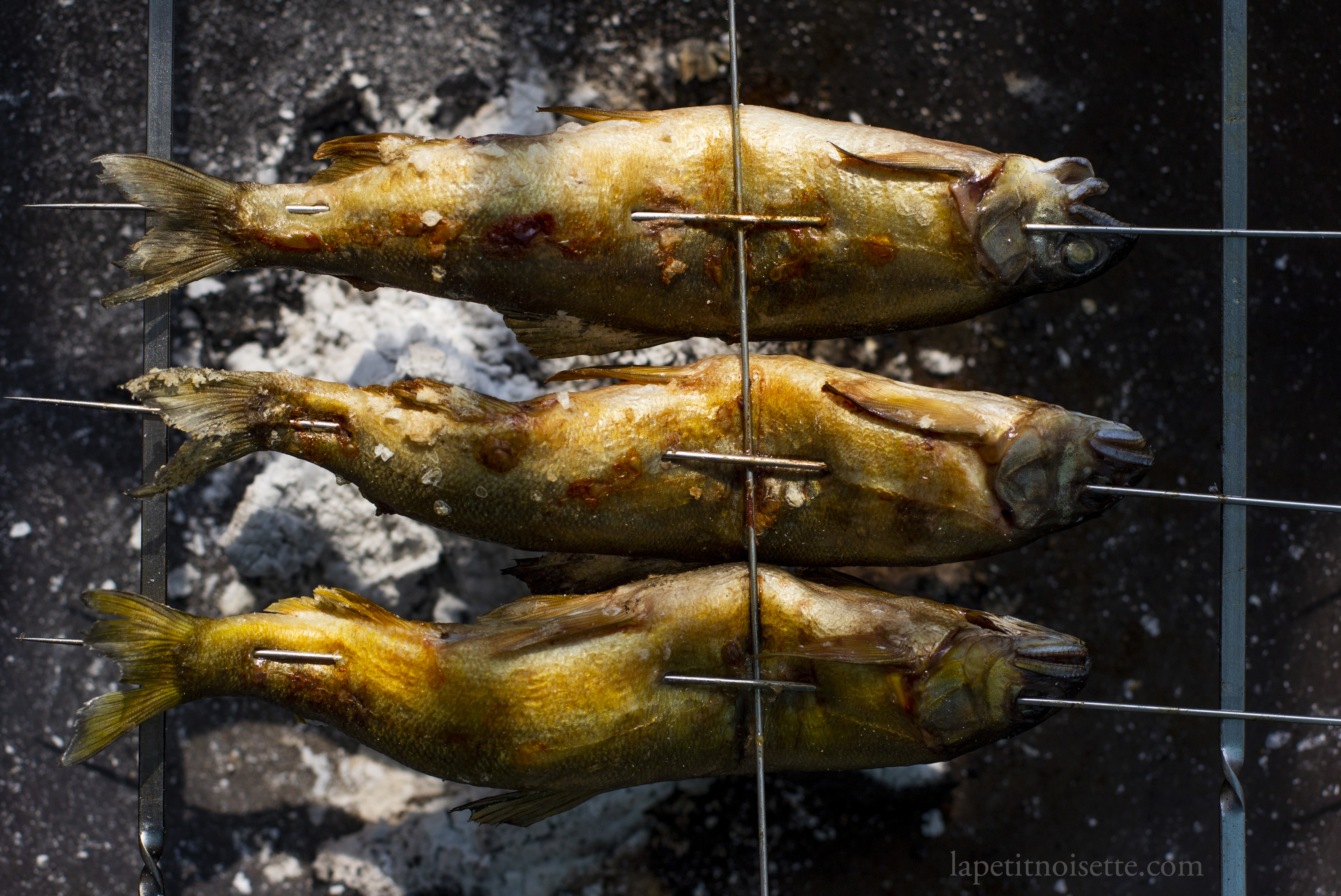 Japanese sweetfish being grilled over charcoal.