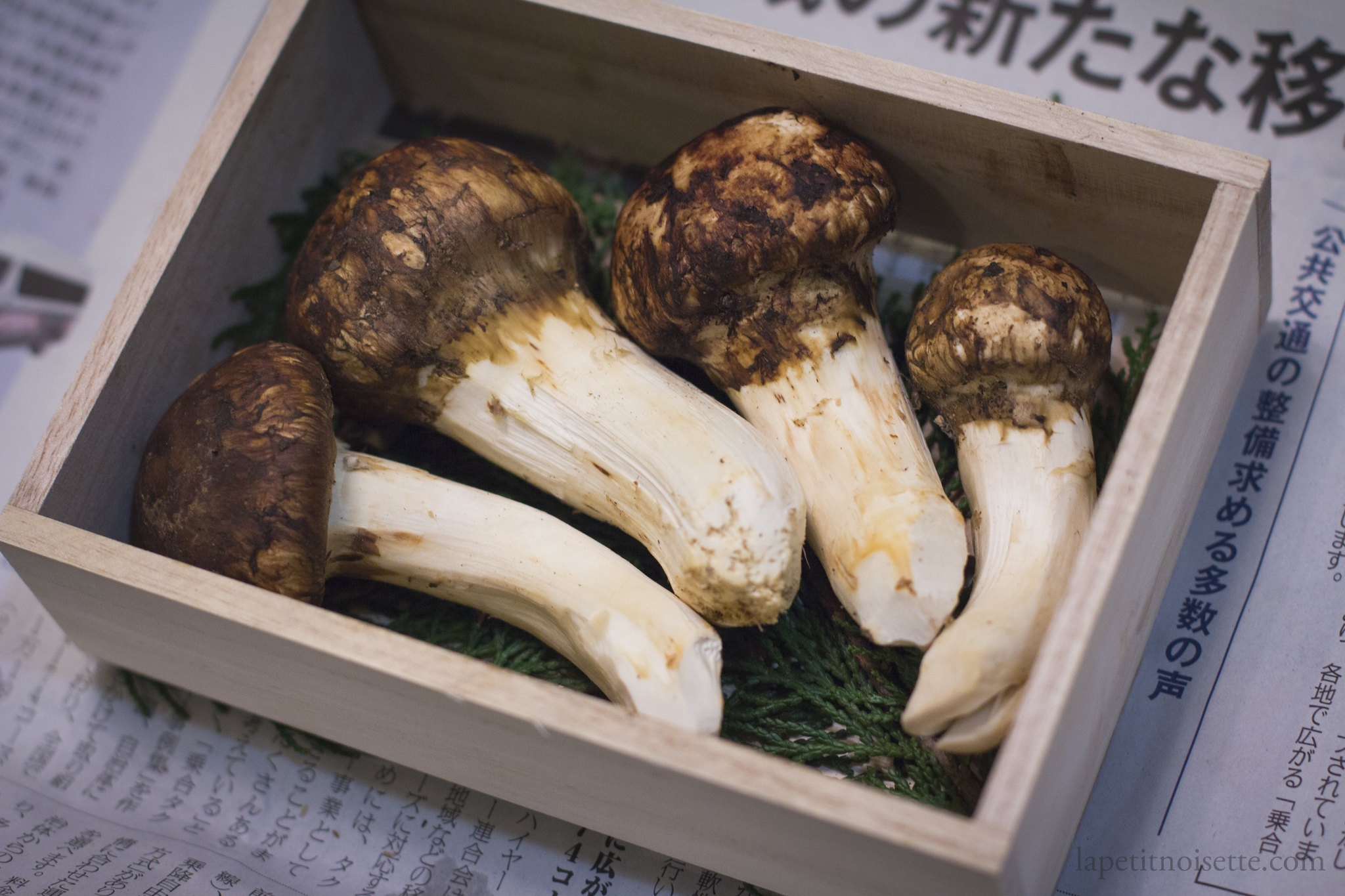 Peeled matsutake mushrooms.