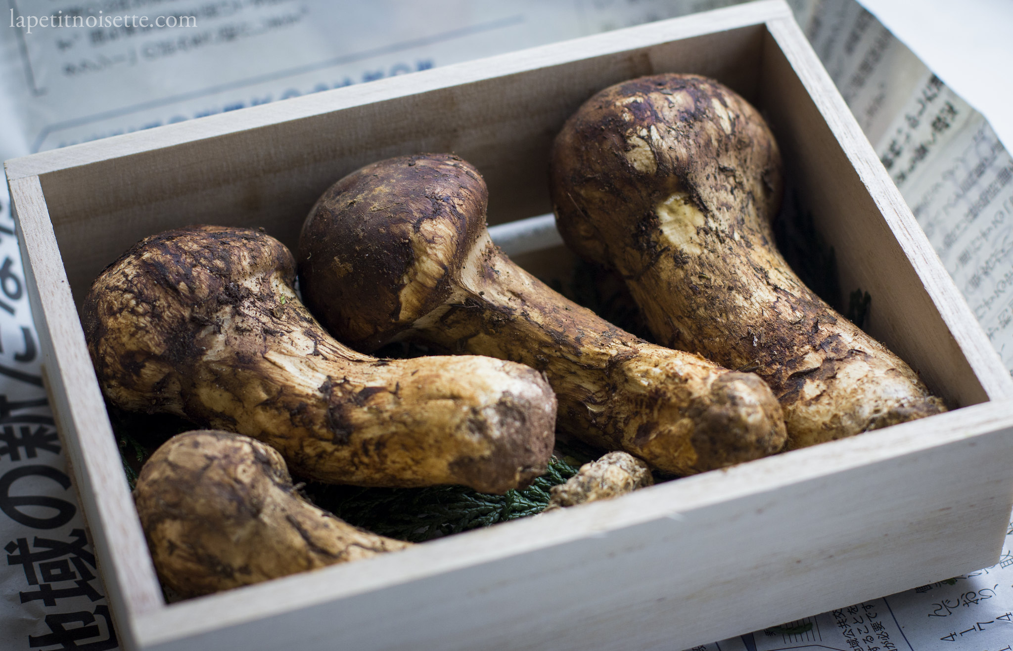 Fresh matsutake mushrooms from the market.