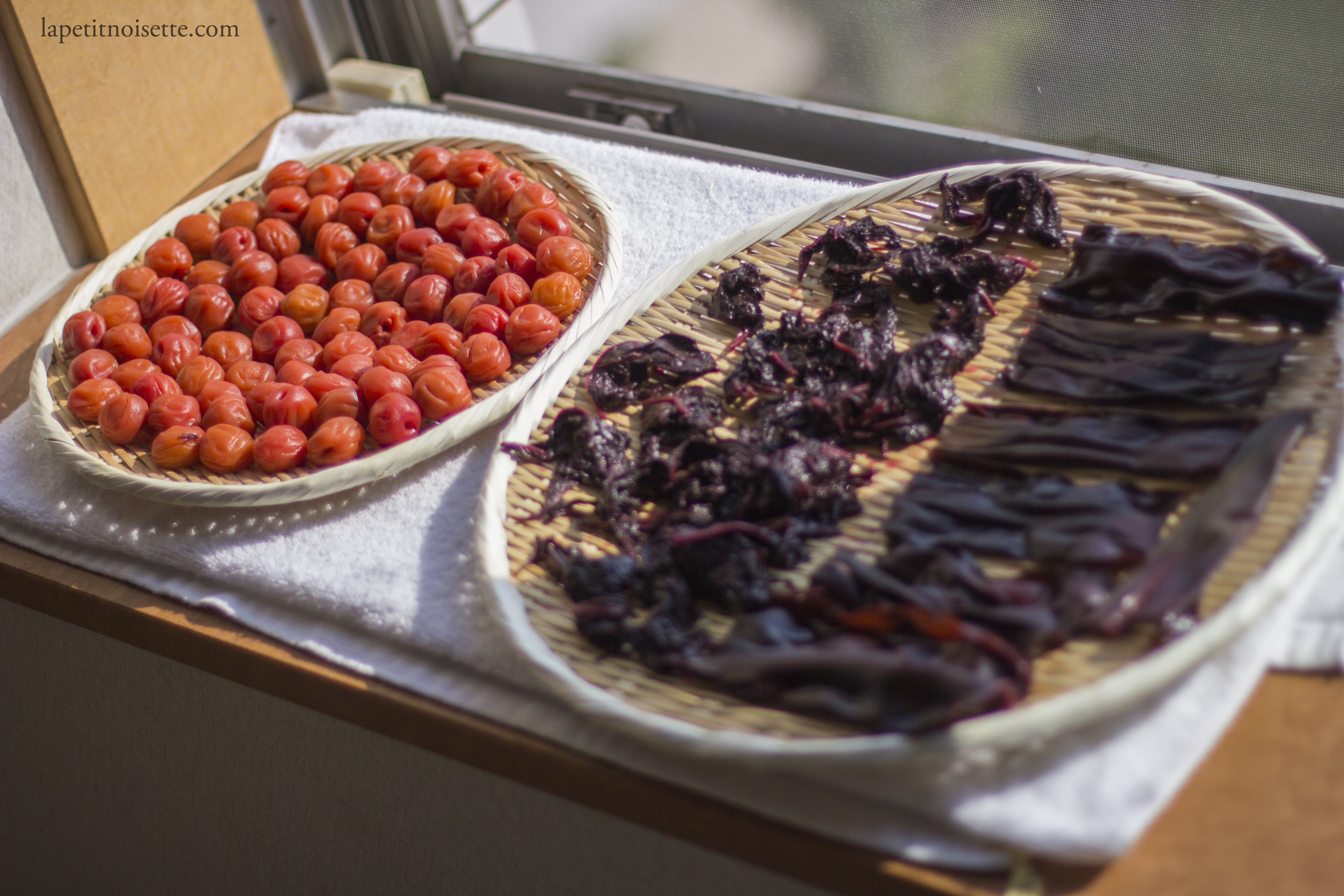 umeboshi being dried in the sun