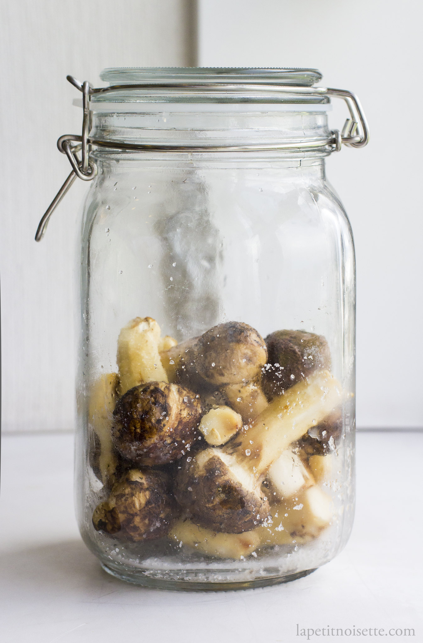 Matsutake mushrooms mixed with 2% salt in a jar ready to be fermented. 