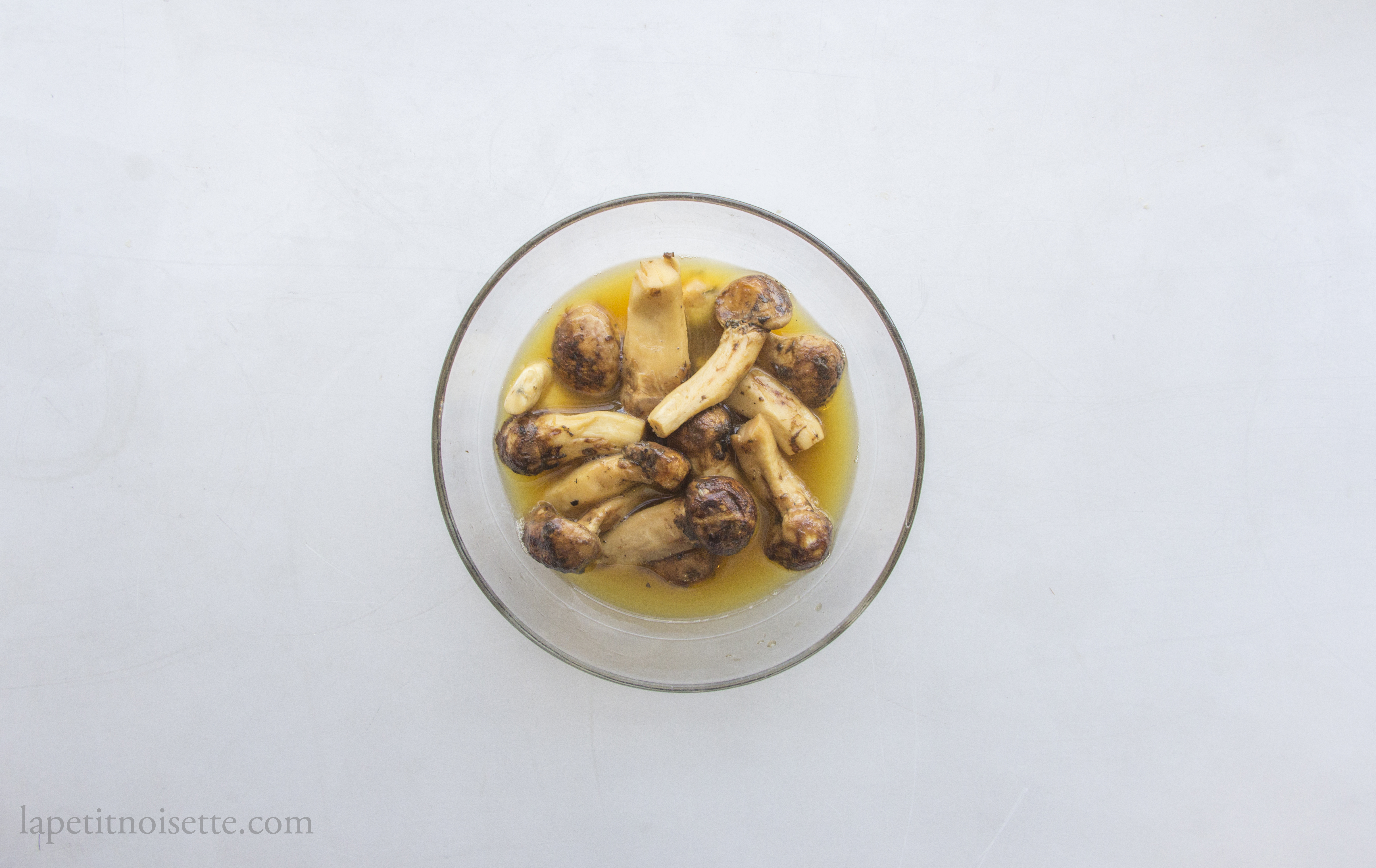 
Lacto-fermented Matsutake mushrooms