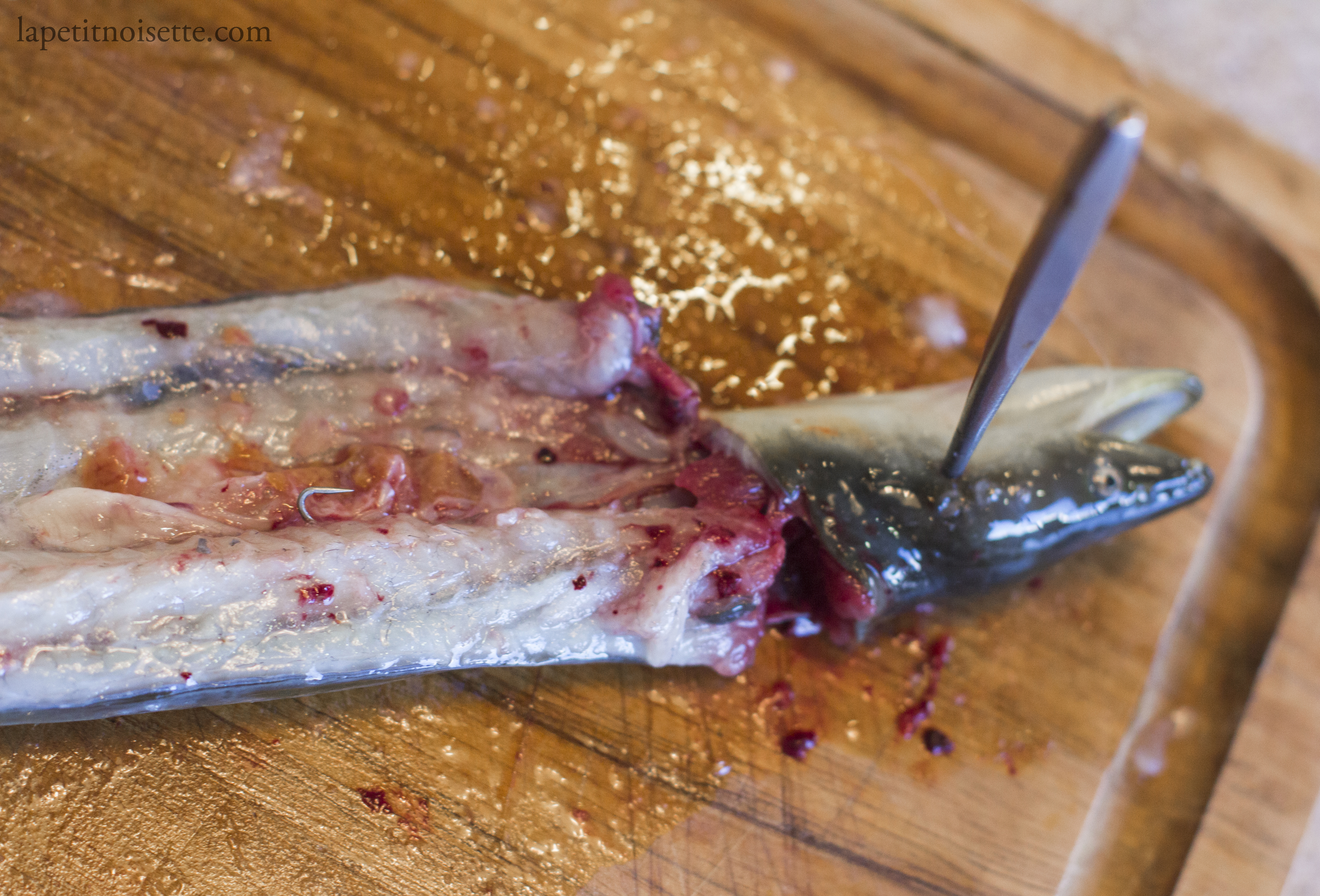 Wild unagi with the fishing hook still present in the stomach during filleting.