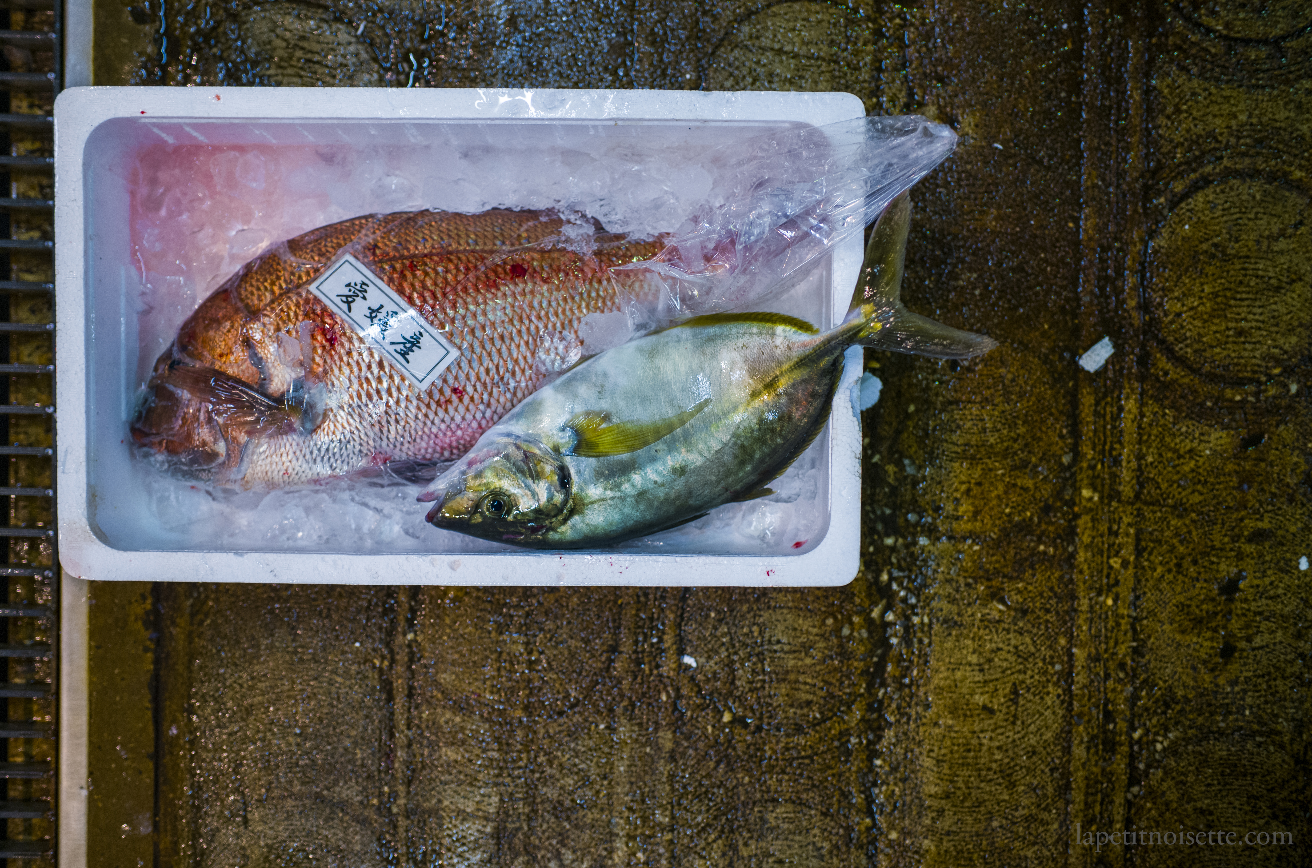 Wild Shima Aji from Ehime prefecture next to a Tai fish in a box at a Japanese fish market.