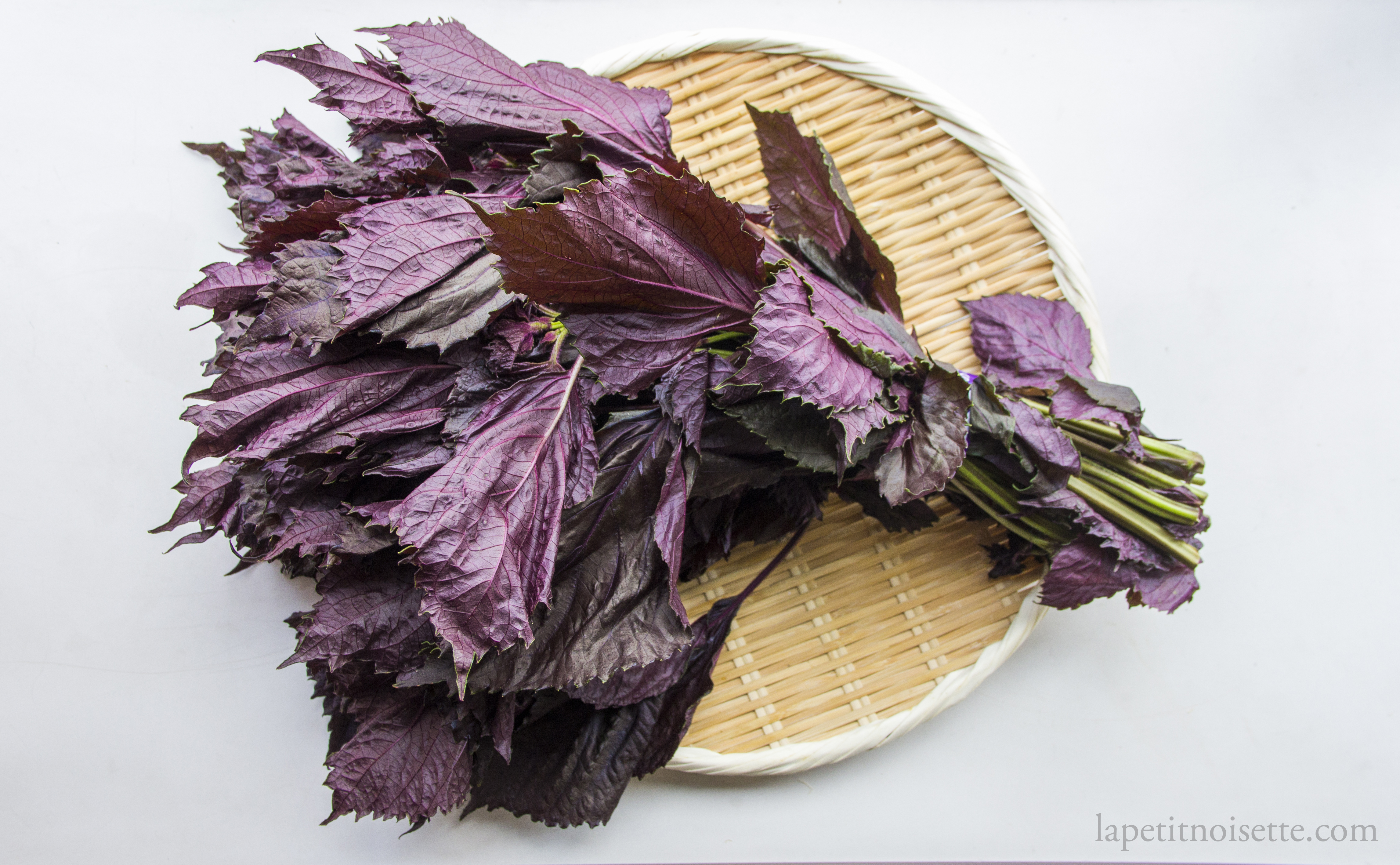 Red shiso leaves for making umeboshi.