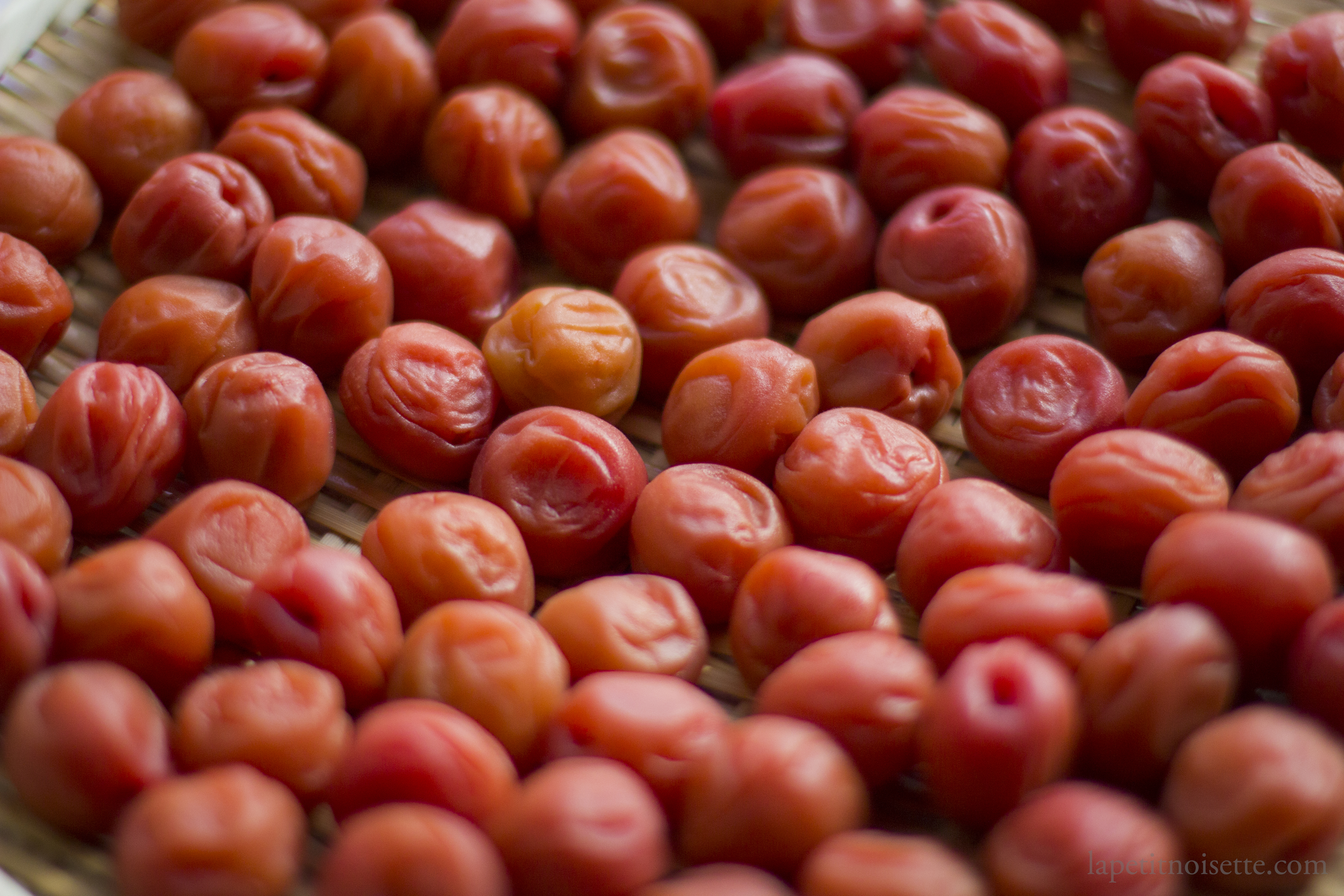 Bright red umeboshi dyed with red shiso drying in the sun.