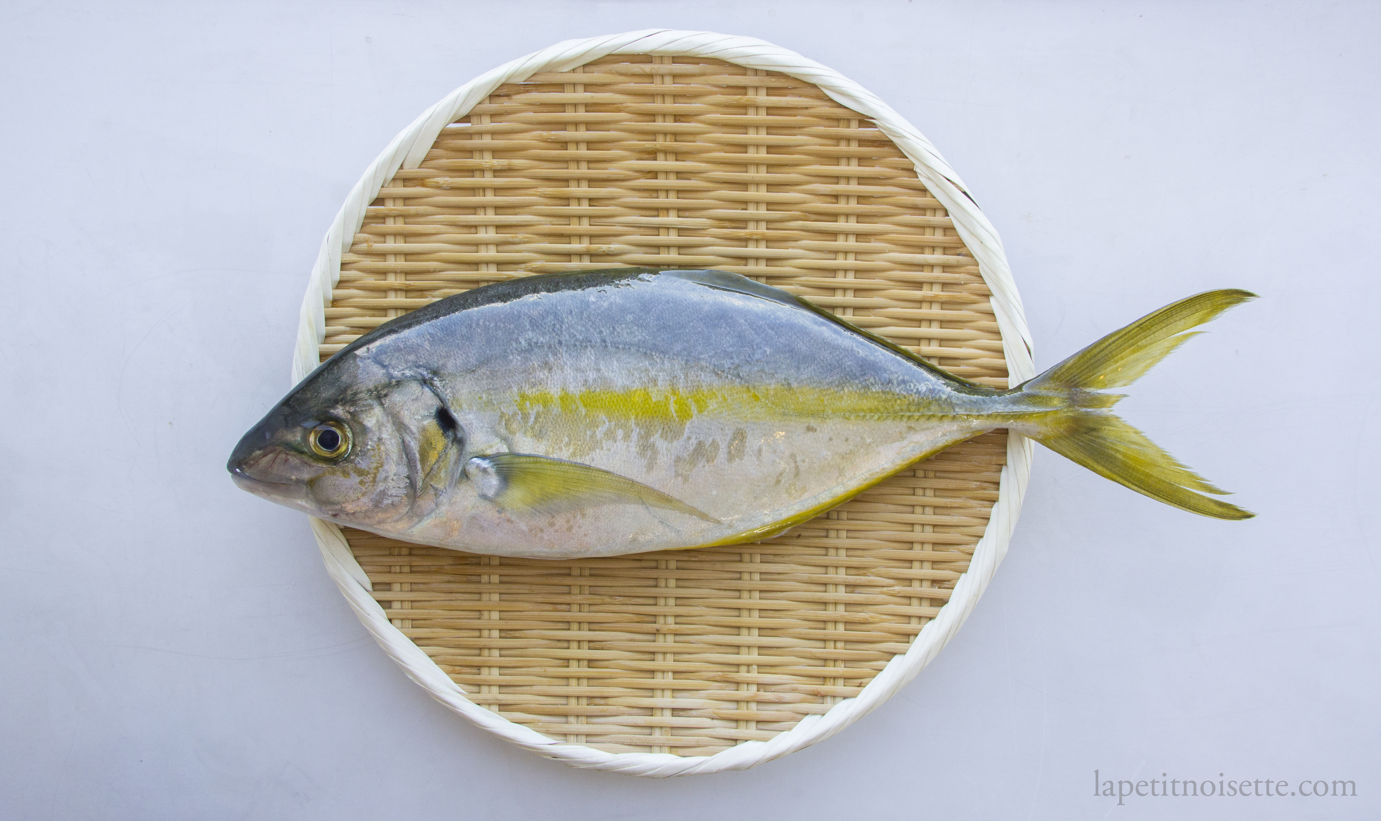 Farmed Shima Aji