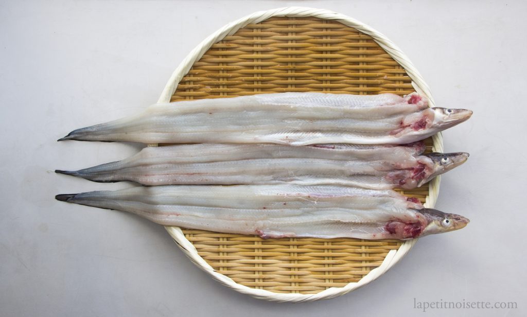 Anago is optimal for frying as tempura due to its large surface area