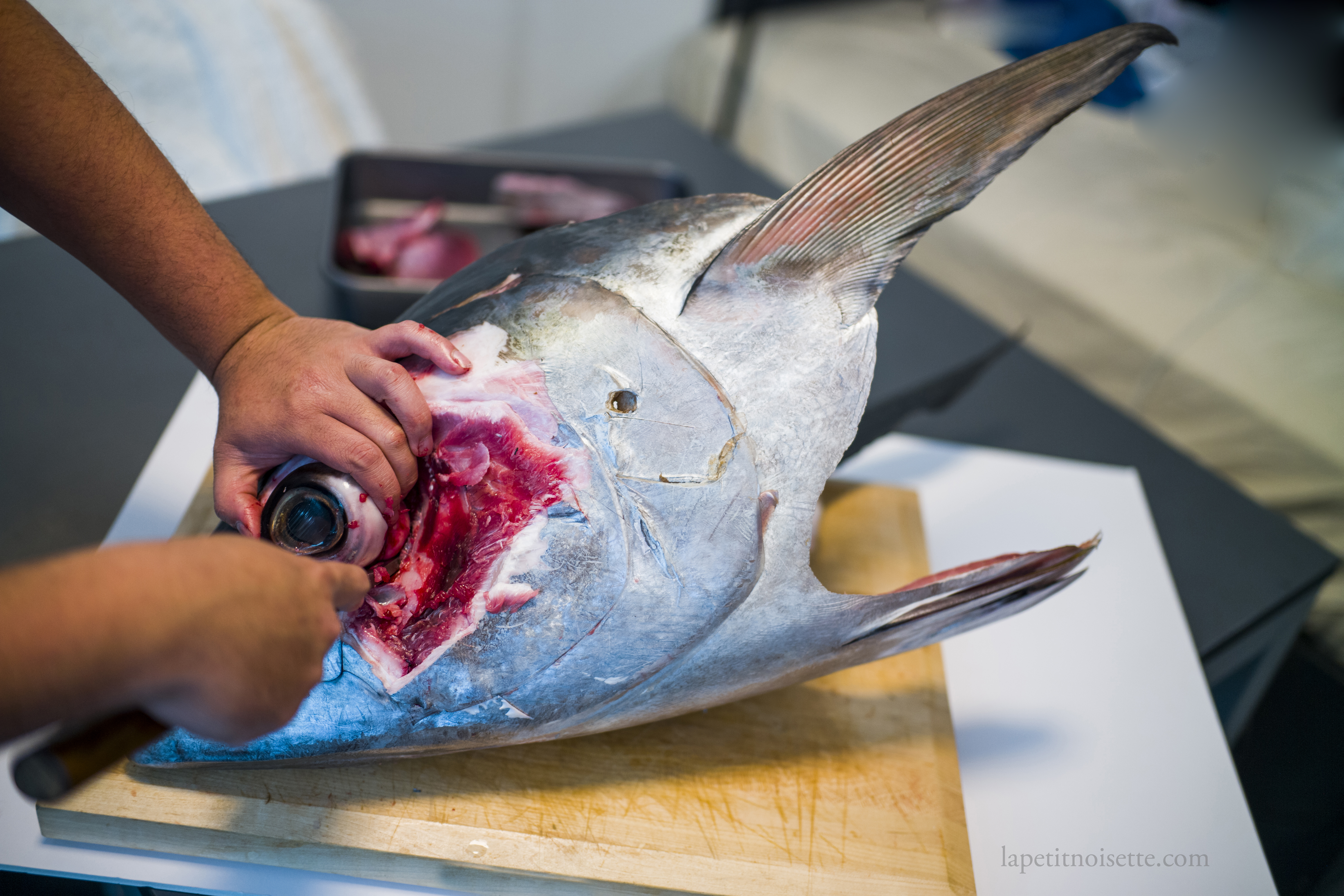 Cutting out the eye of a tuna.