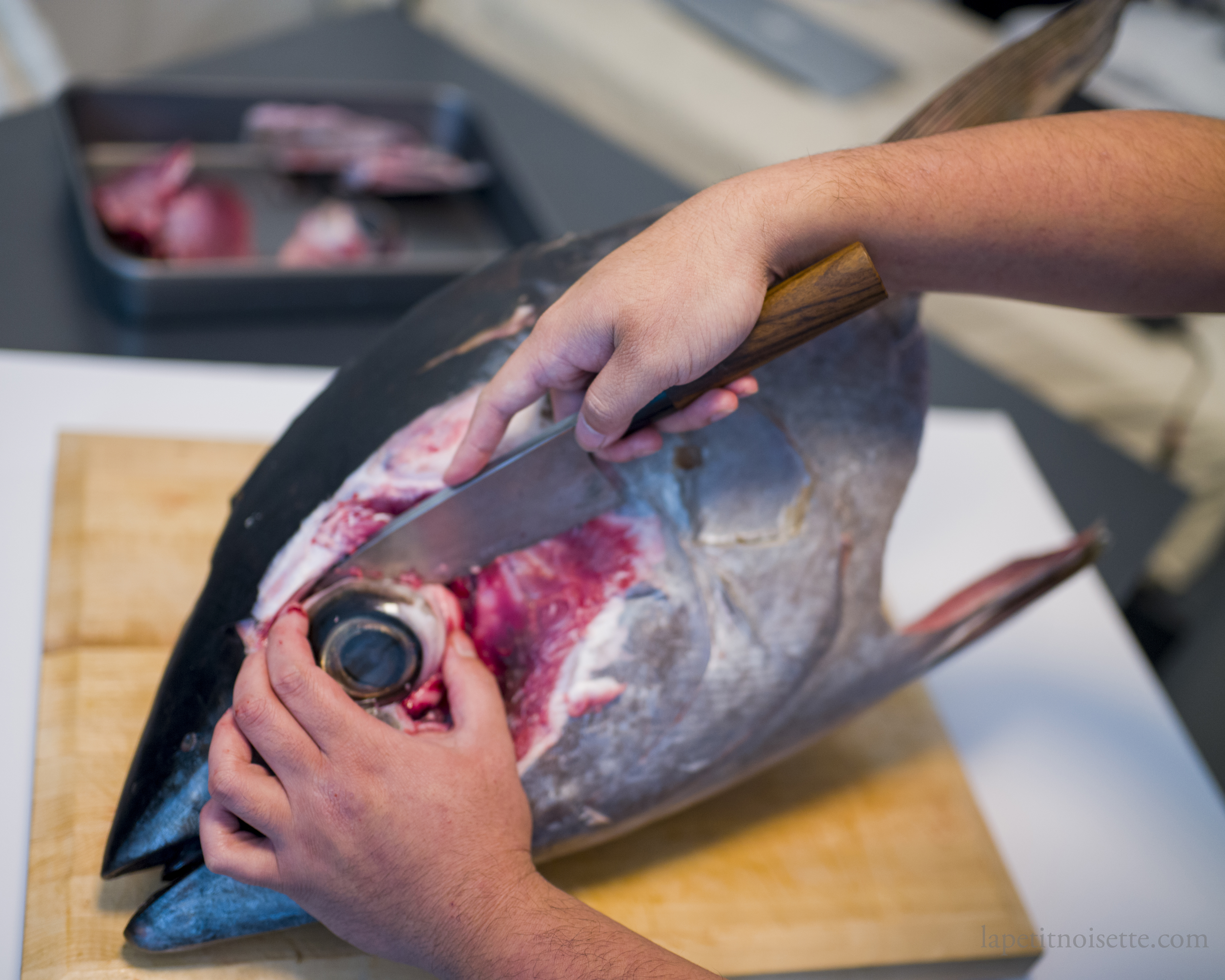 removing the eye from a tuna head.