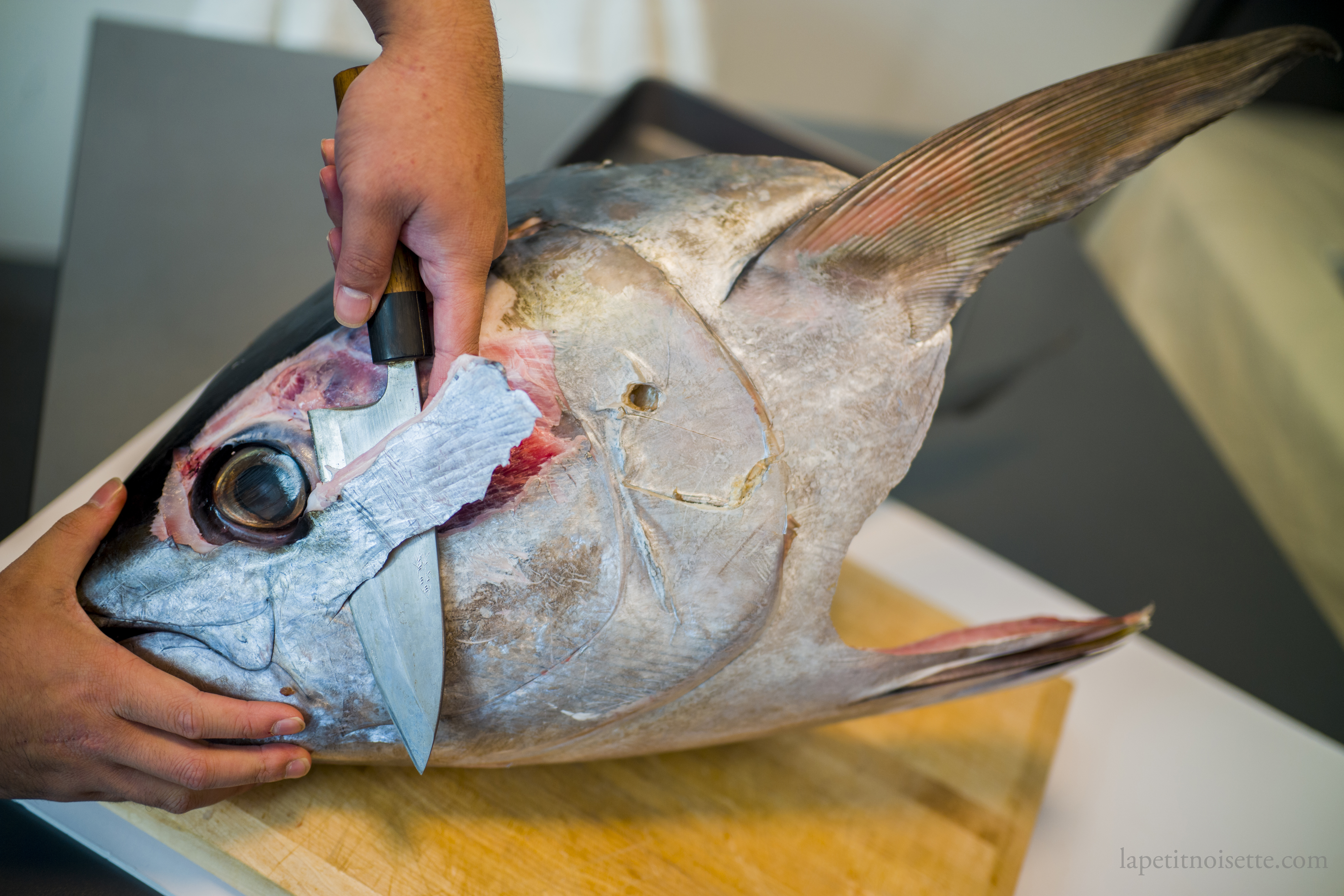 removing the skin on a tuna head to expose the cheek meat.