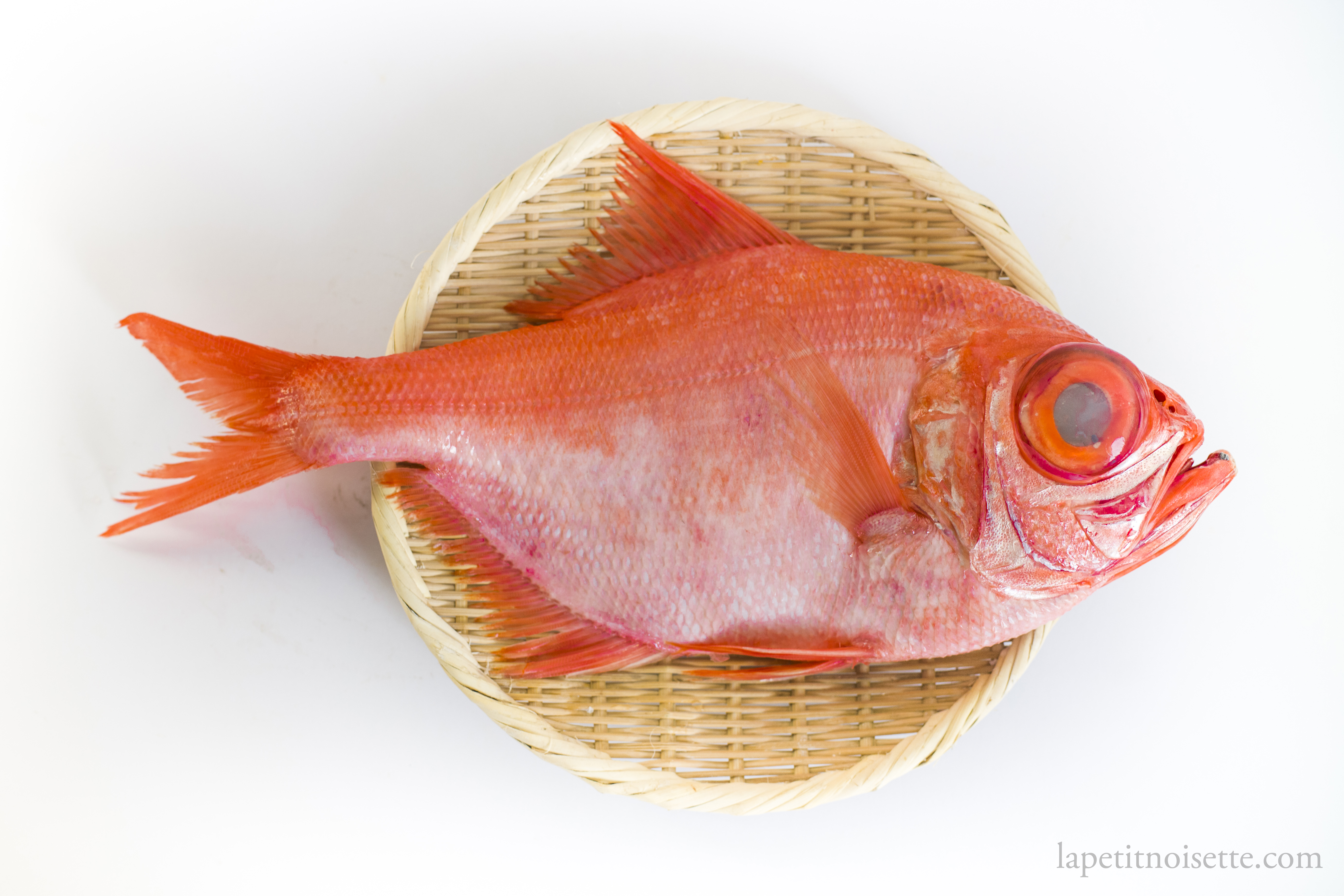 A Japanese Nanyo Kinmedai fish