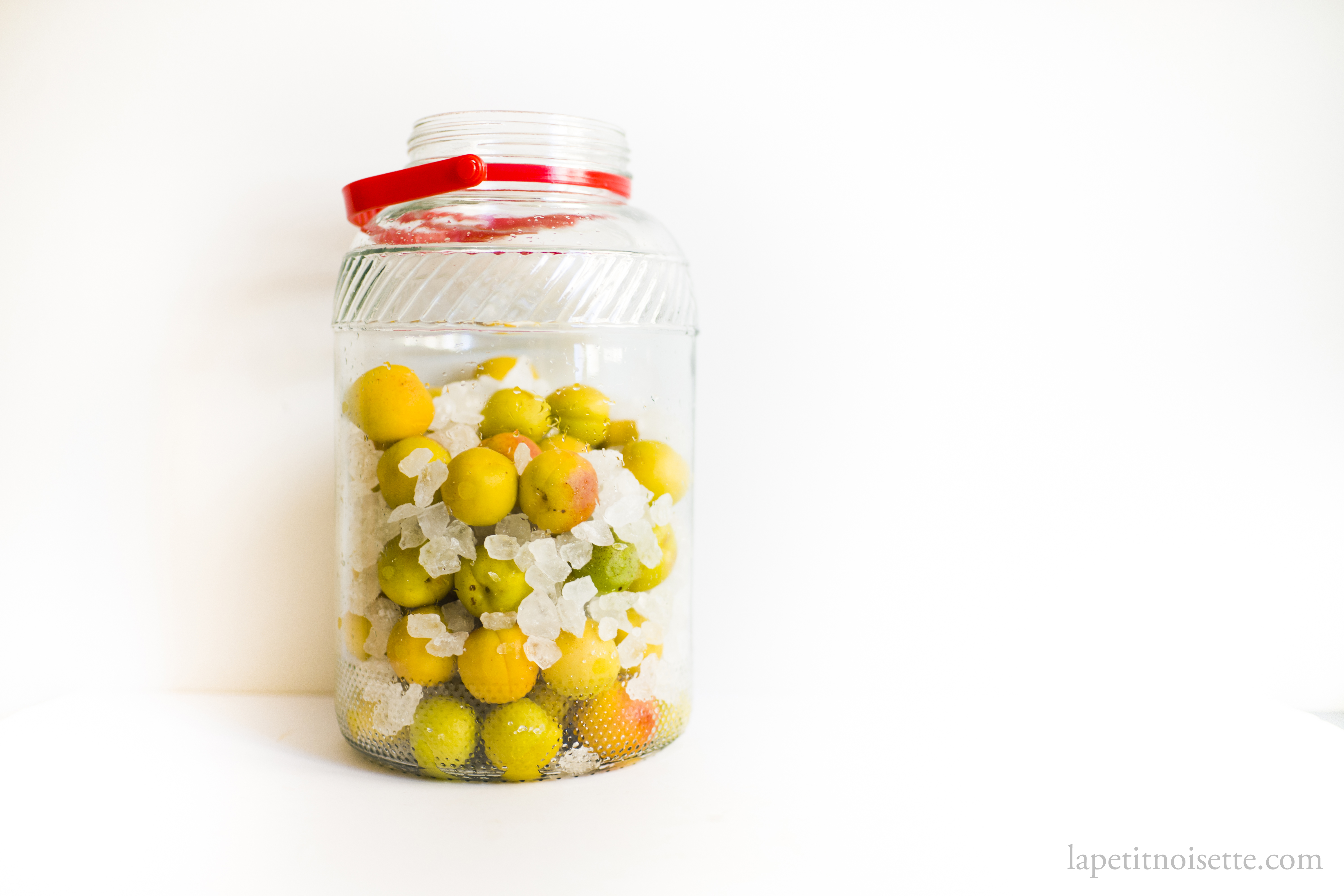 Apricot umeshu in the making.