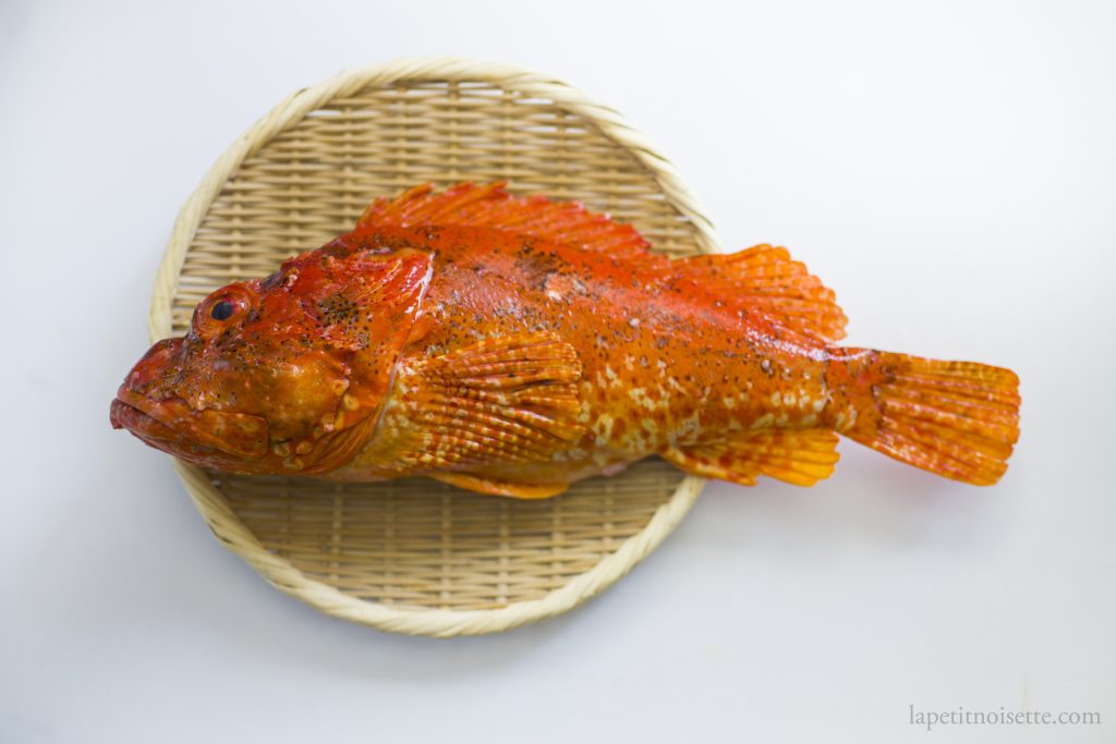 A Japanese scorpionfish known as onikasago.